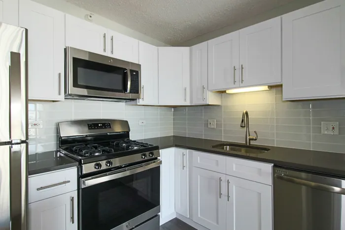 540 N Dearborn St   60610 60610-unit#1311-Chicago-IL