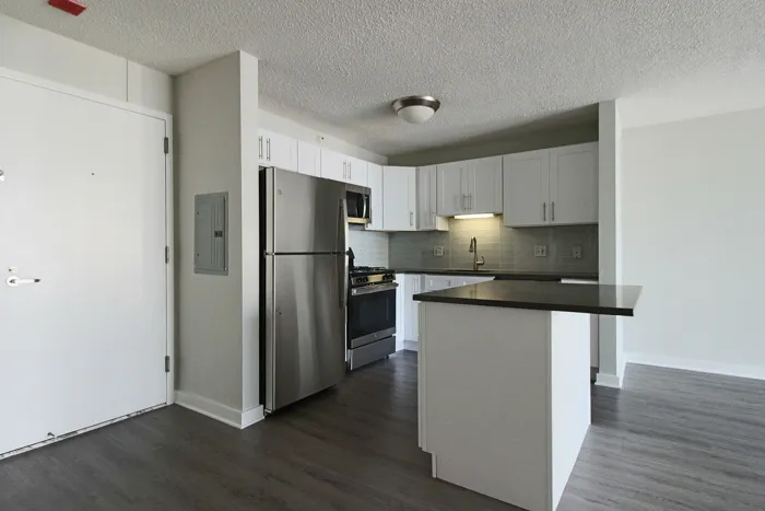 540 N Dearborn St   60610 60610-unit#1311-Chicago-IL