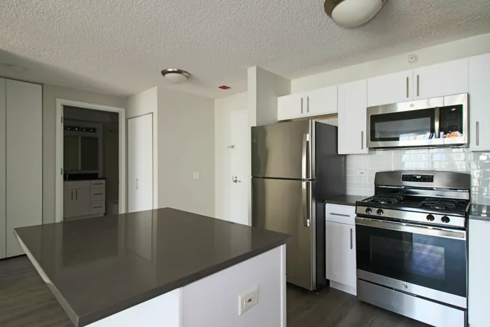 540 N Dearborn St   60610 60610-unit#1311-Chicago-IL