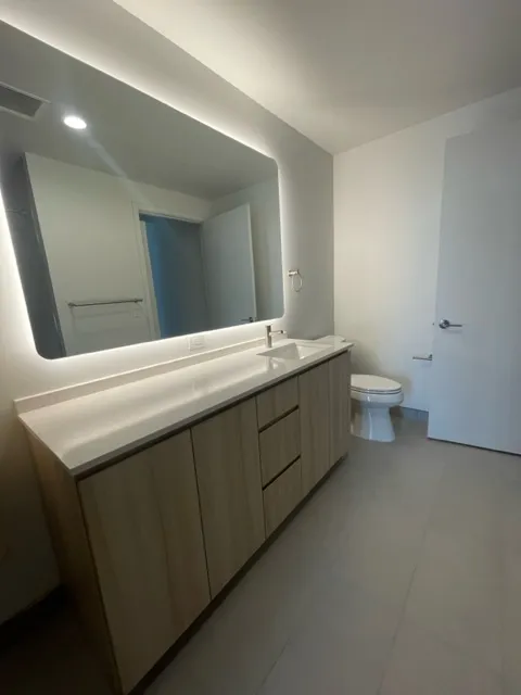 513 S Damen Ave   60612 60612-unit#1301-Chicago-IL