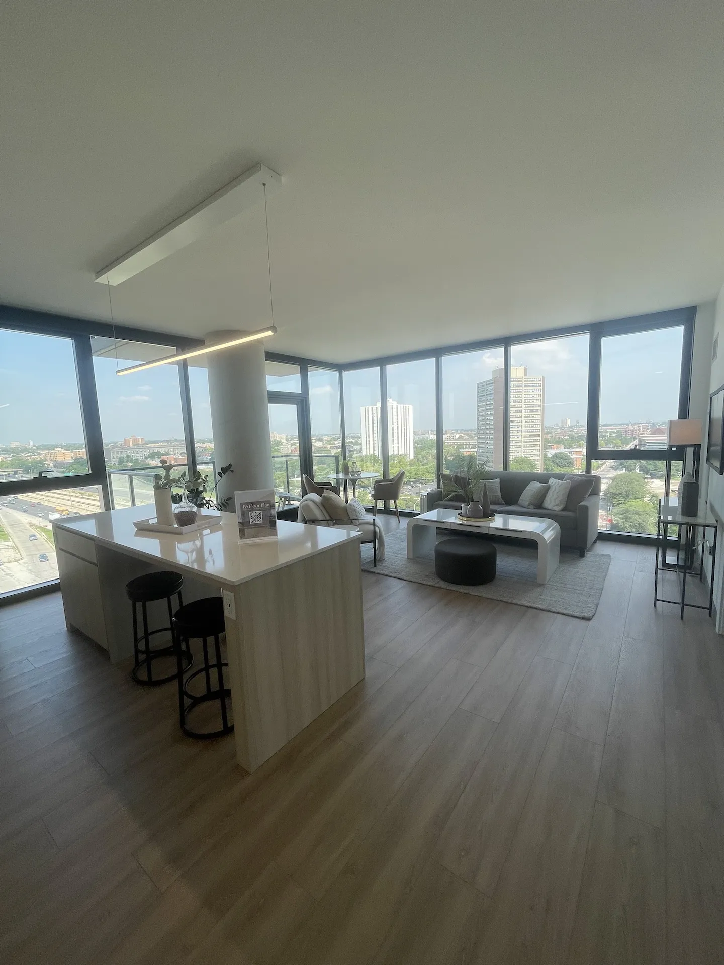 513 S Damen Ave 60612 60612-unit#1301-Chicago-IL