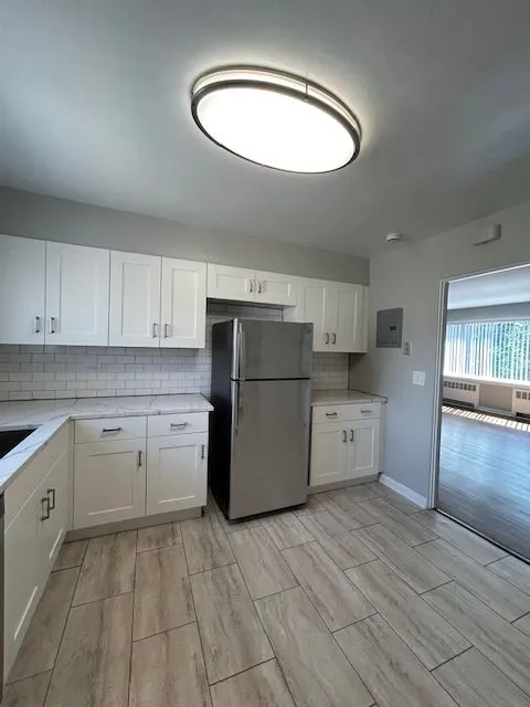 233 Ridge Ave   60202 60202-unit#1-Evanston-IL