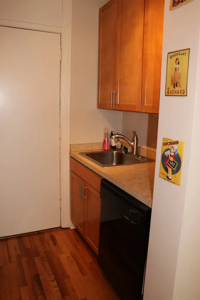 610 W Belmont Ave   60657 60657-Belmont Apartments-unit#1E-Chicago-IL