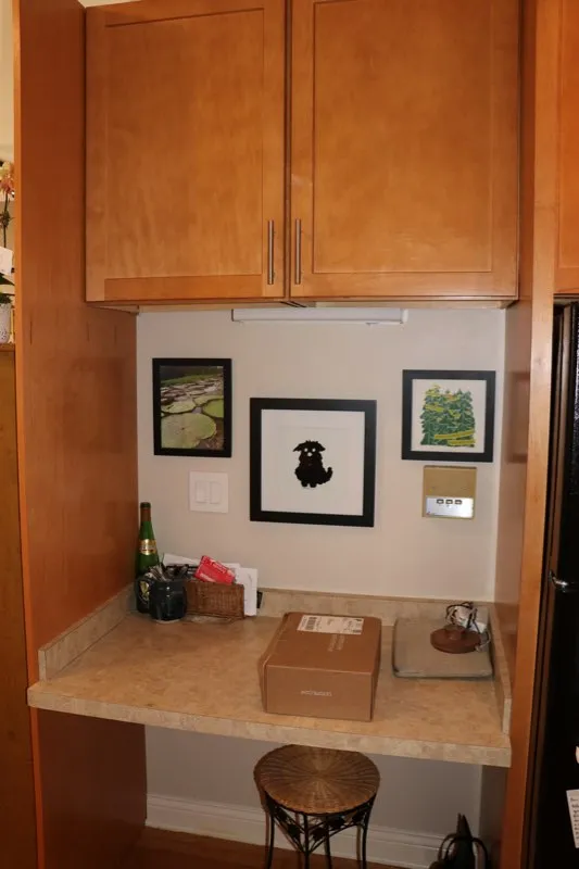 610 W Belmont Ave   60657 60657-Belmont Apartments-unit#1E-Chicago-IL