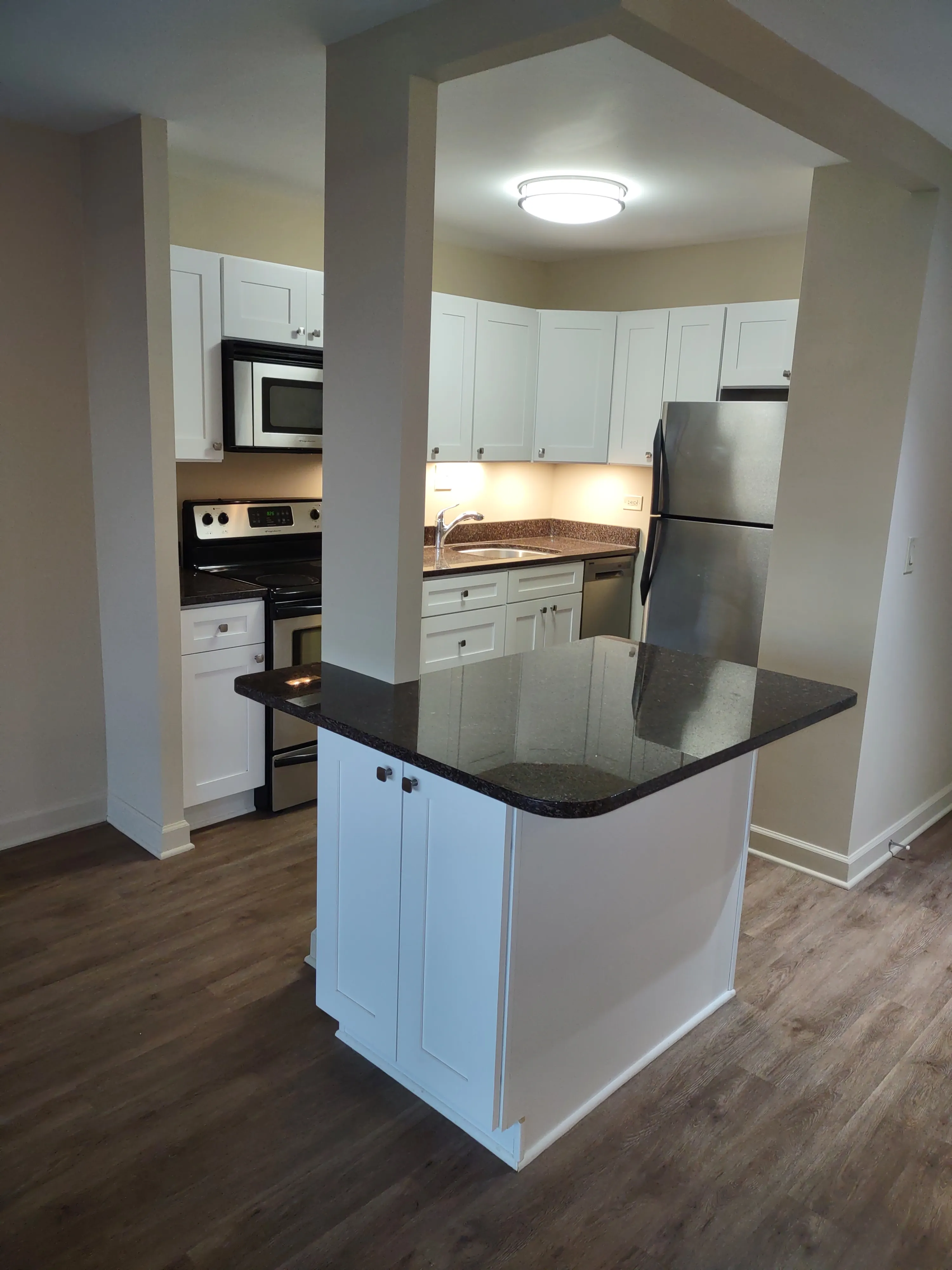 1850 N CLARK ST 60614-Hemingway-unit#1606-Chicago-IL