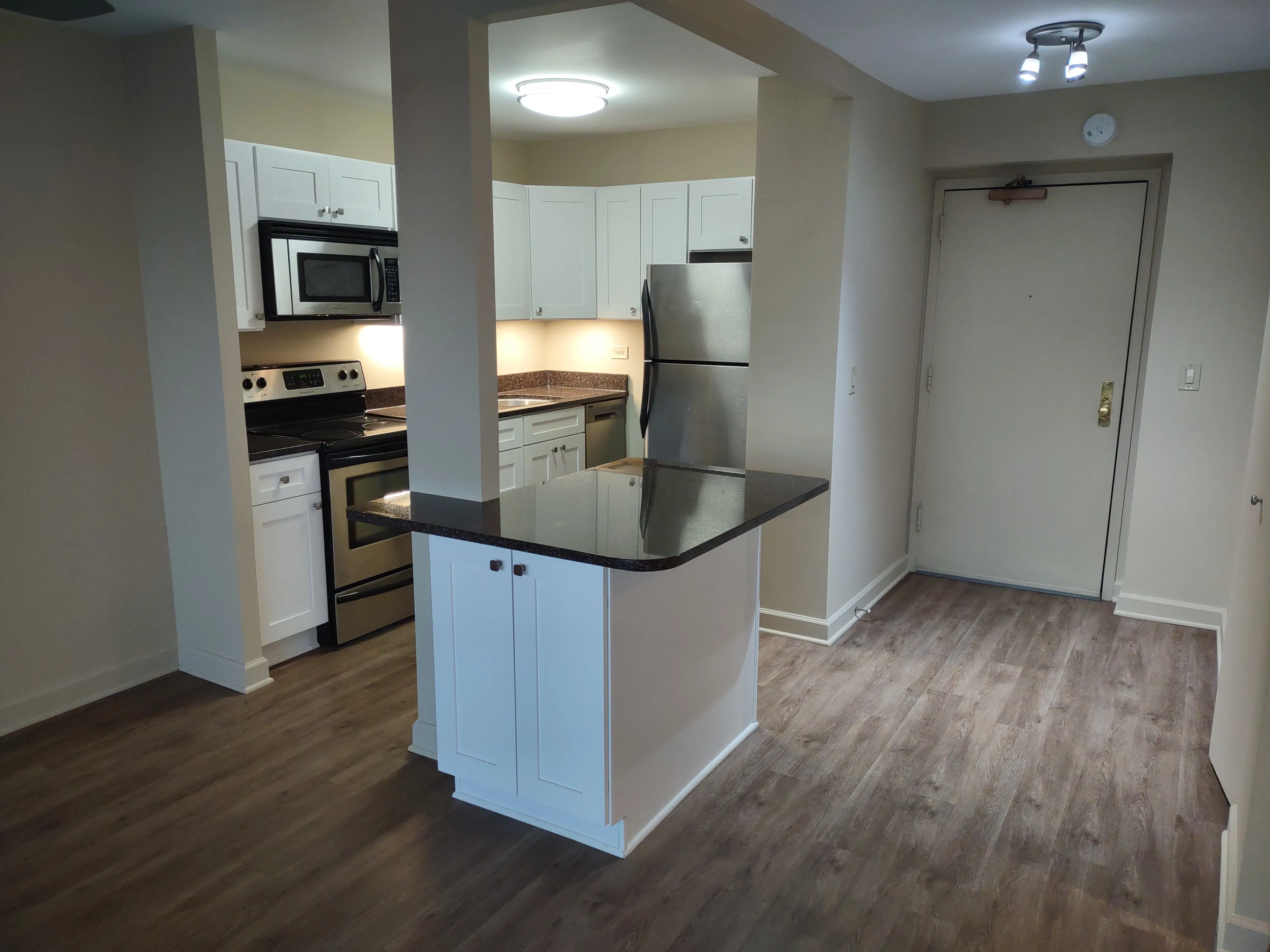 1850 N CLARK ST 60614-Hemingway-unit#1606-Chicago-IL