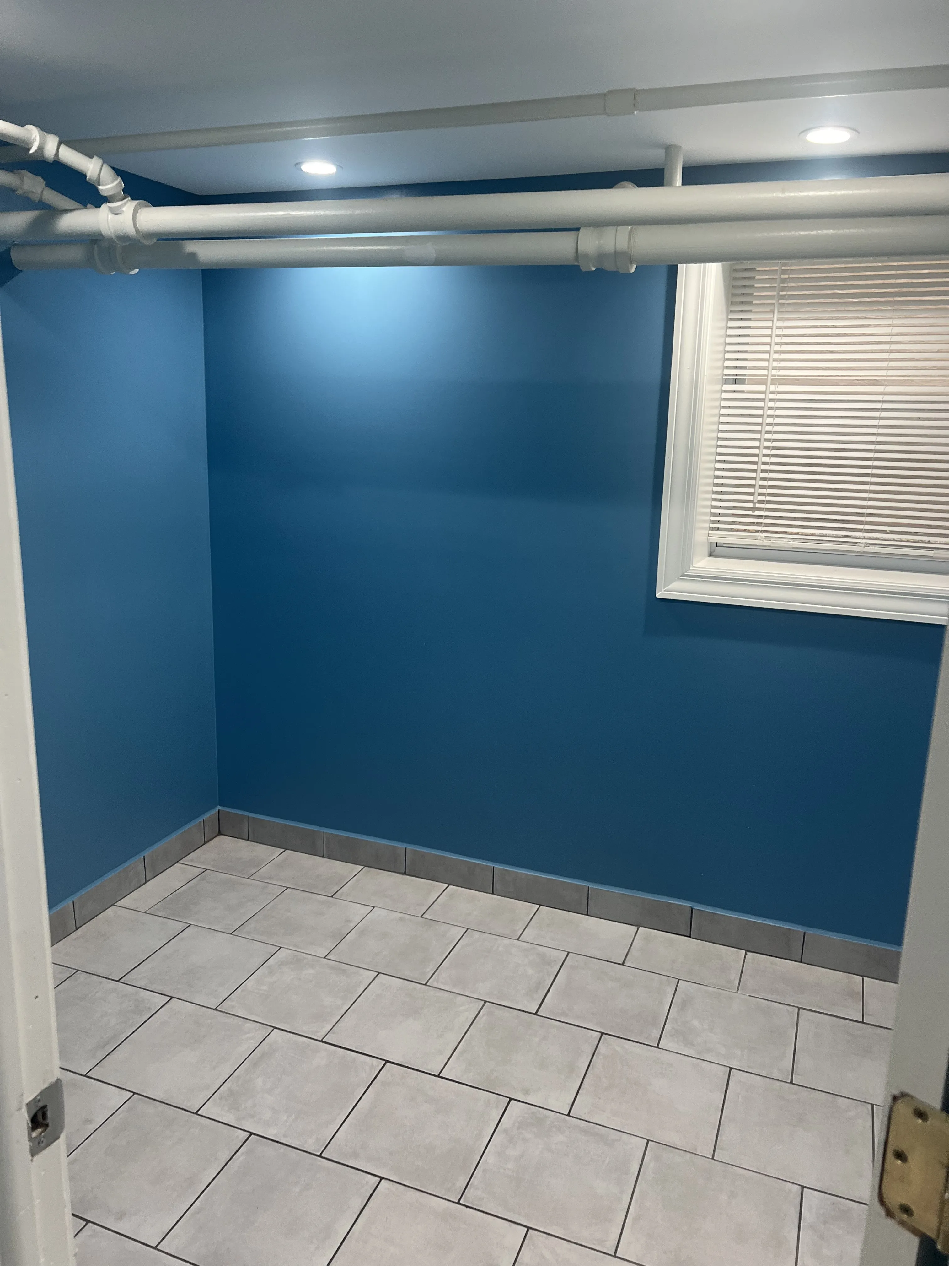 1331 N Ridgeway 60651-unit#Basement -Chicago-IL