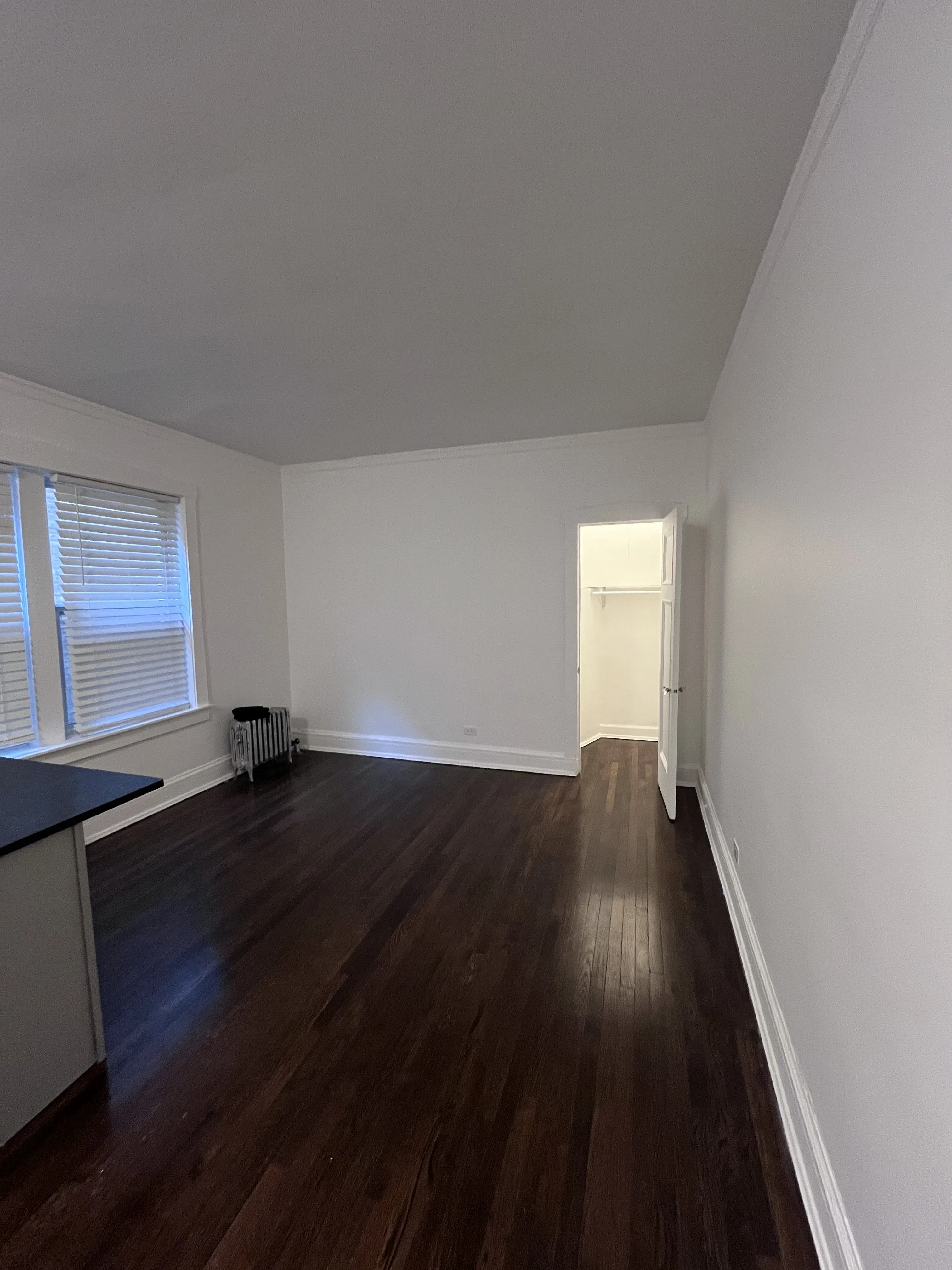 3030 N SHERIDAN RD 60657-unit#315-Chicago-IL