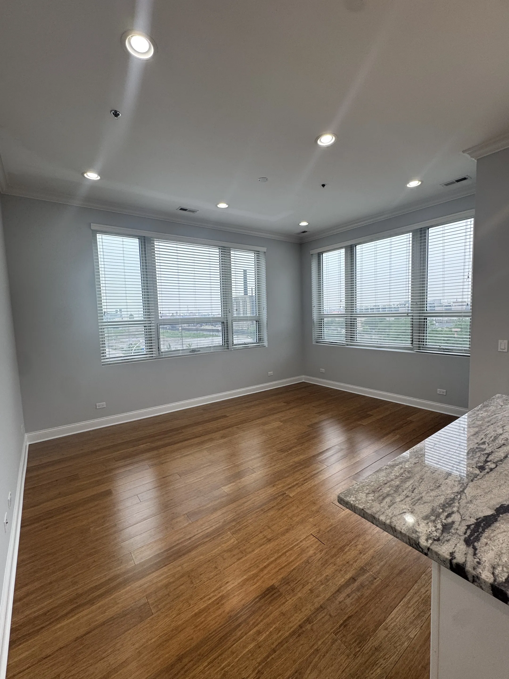 839 S Wells St 60607 60607-unit#314-Chicago-IL