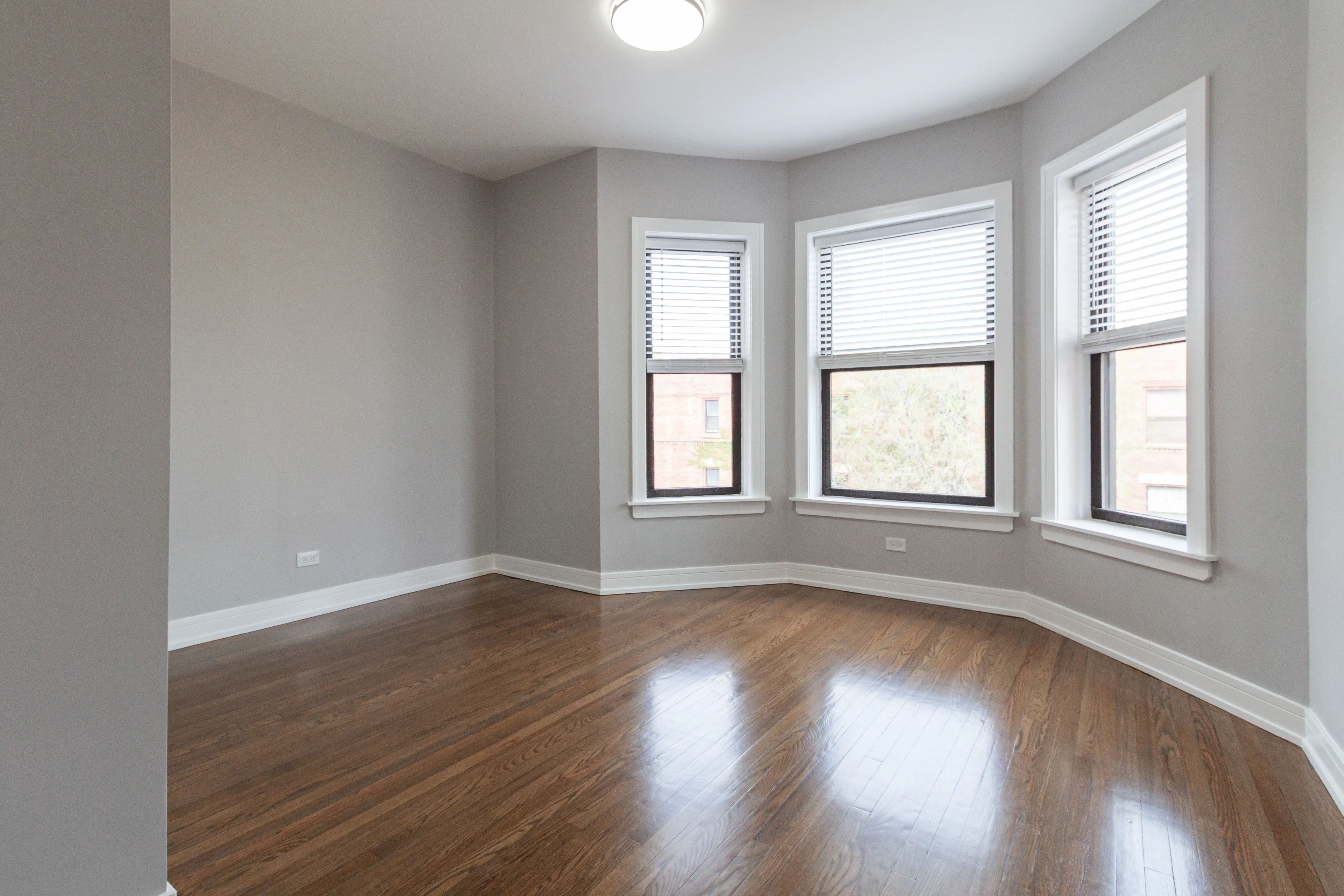 3834 N Wilton Ave   60613 60613-unit#1-Chicago-IL