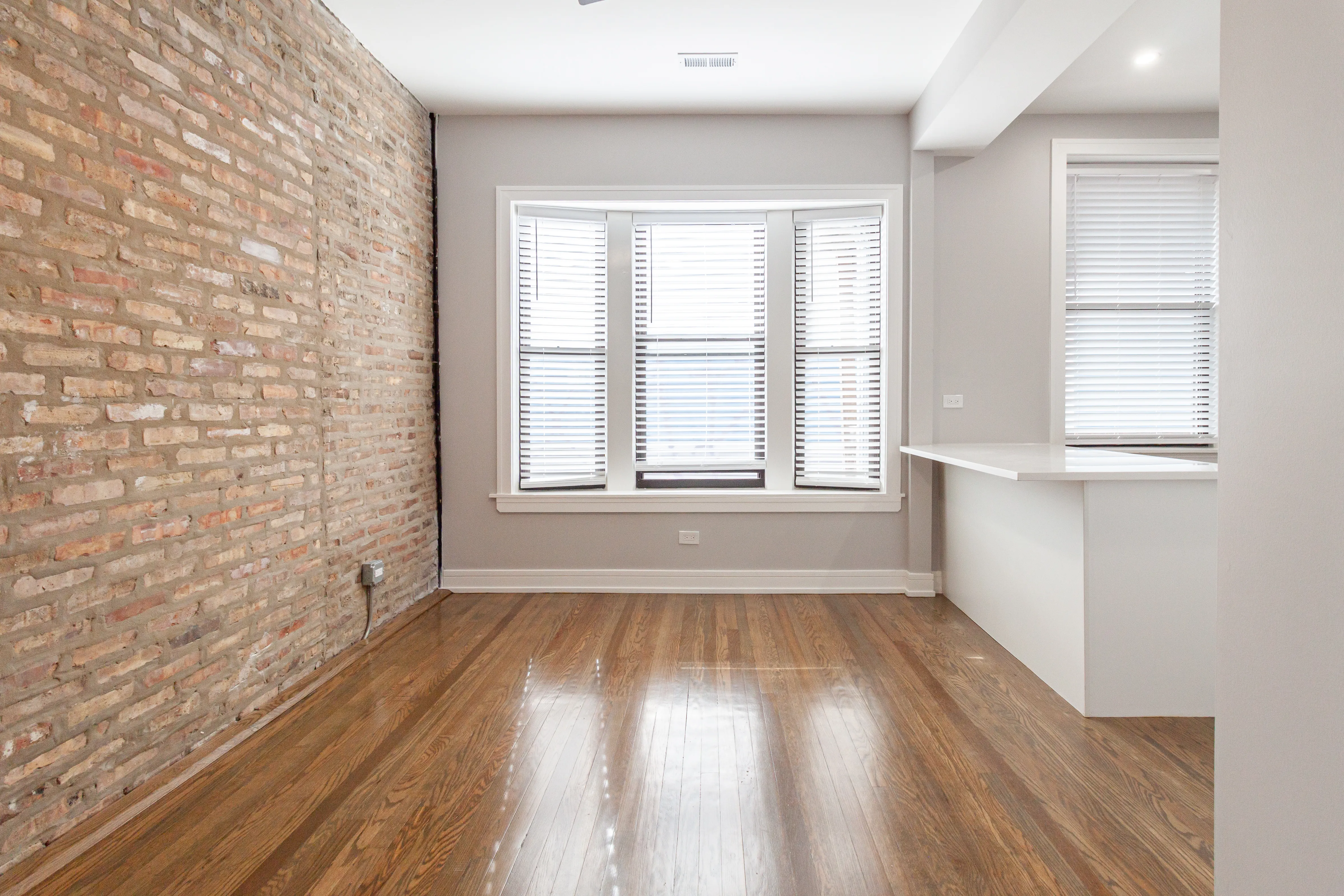 3834 N Wilton Ave   60613 60613-unit#1-Chicago-IL