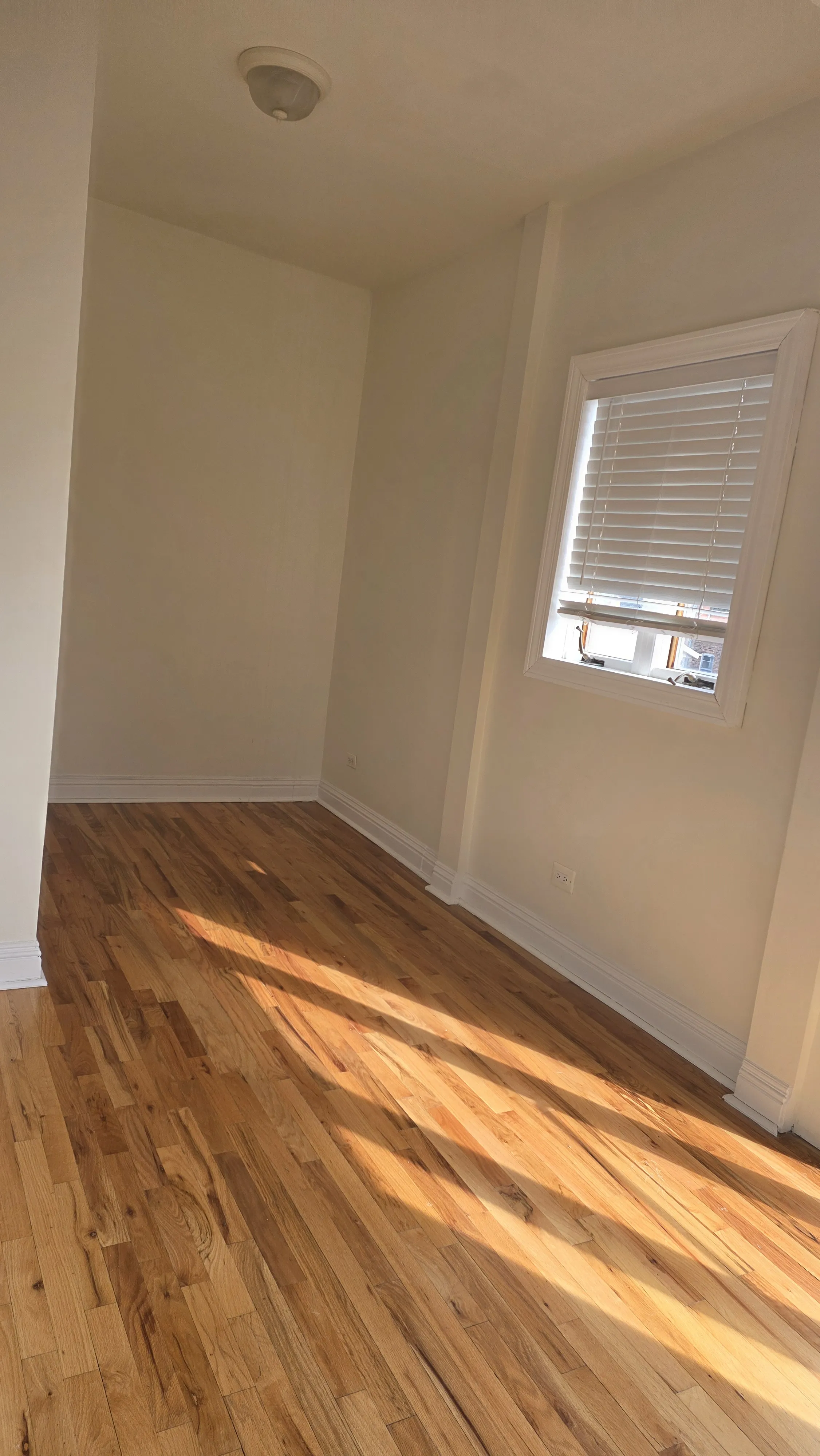 1639 W Foster Ave 60640 60640-unit#3-Chicago-IL