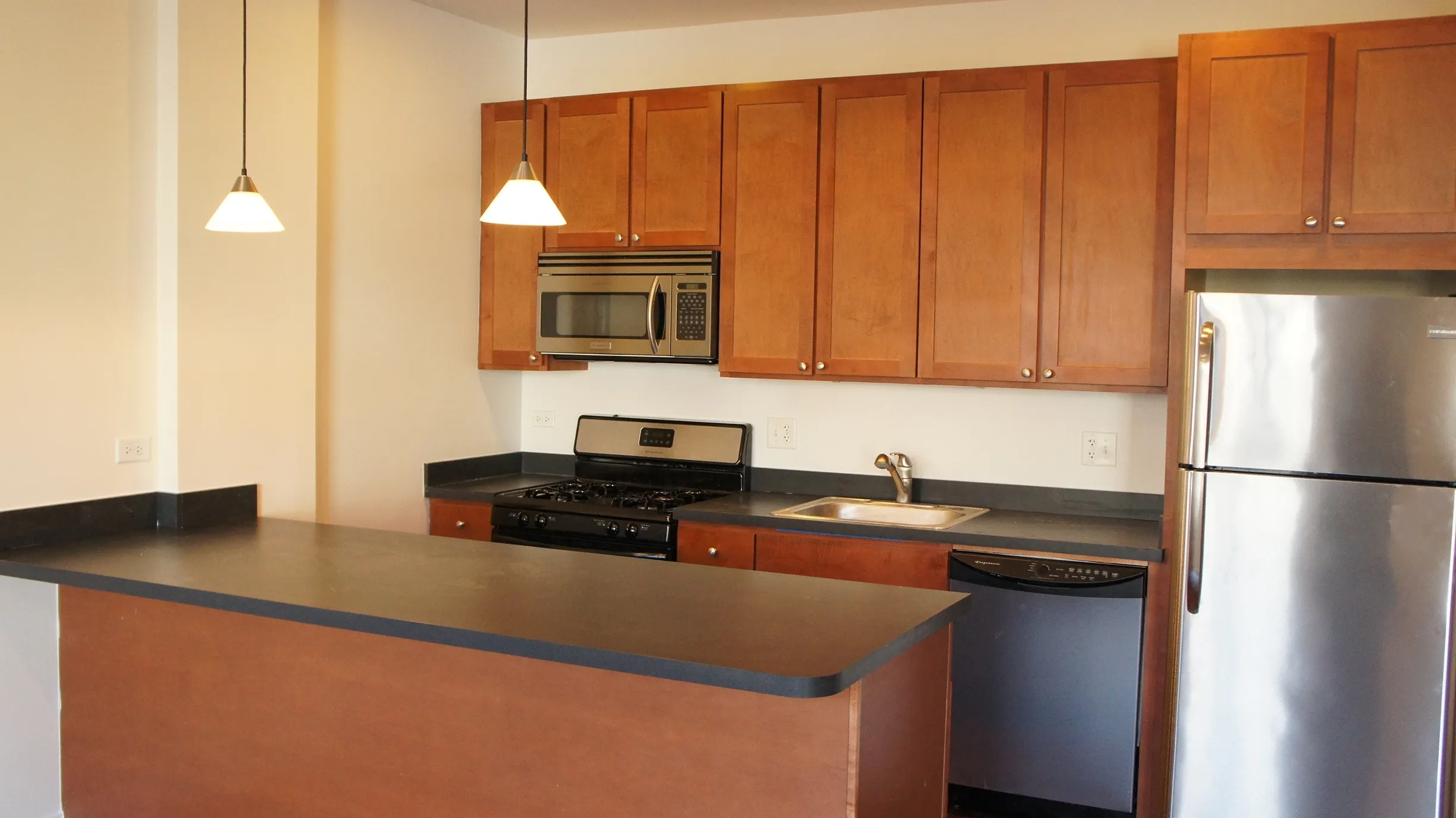 2836 N ALBANY AVE 60618-unit#3-Chicago-IL