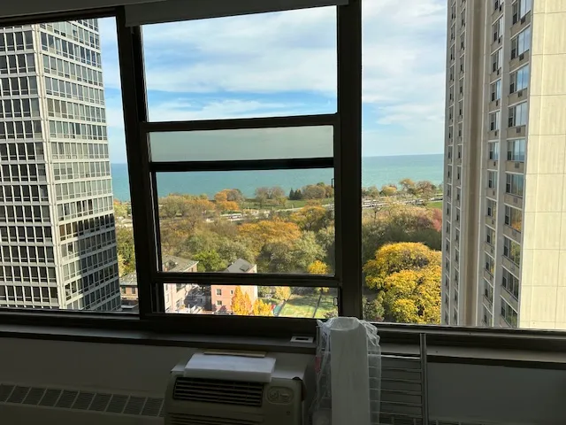 360 W Wellington Ave 60657 60657-The Wellington-unit#17E-Chicago-IL