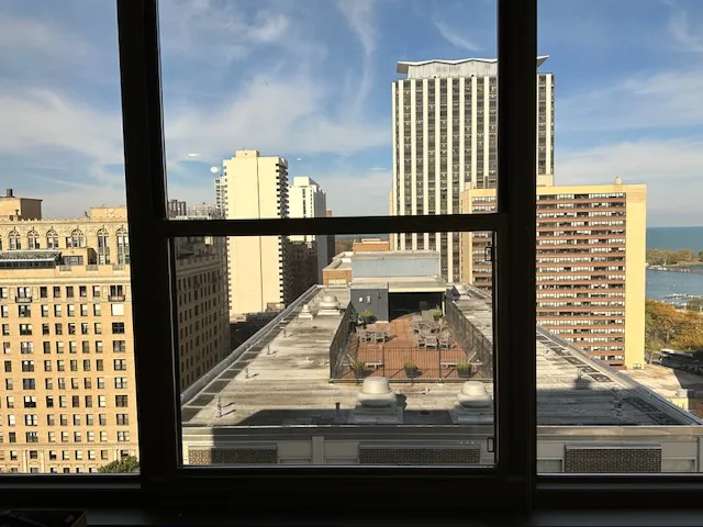 360 W Wellington Ave 60657 60657-The Wellington-unit#17E-Chicago-IL