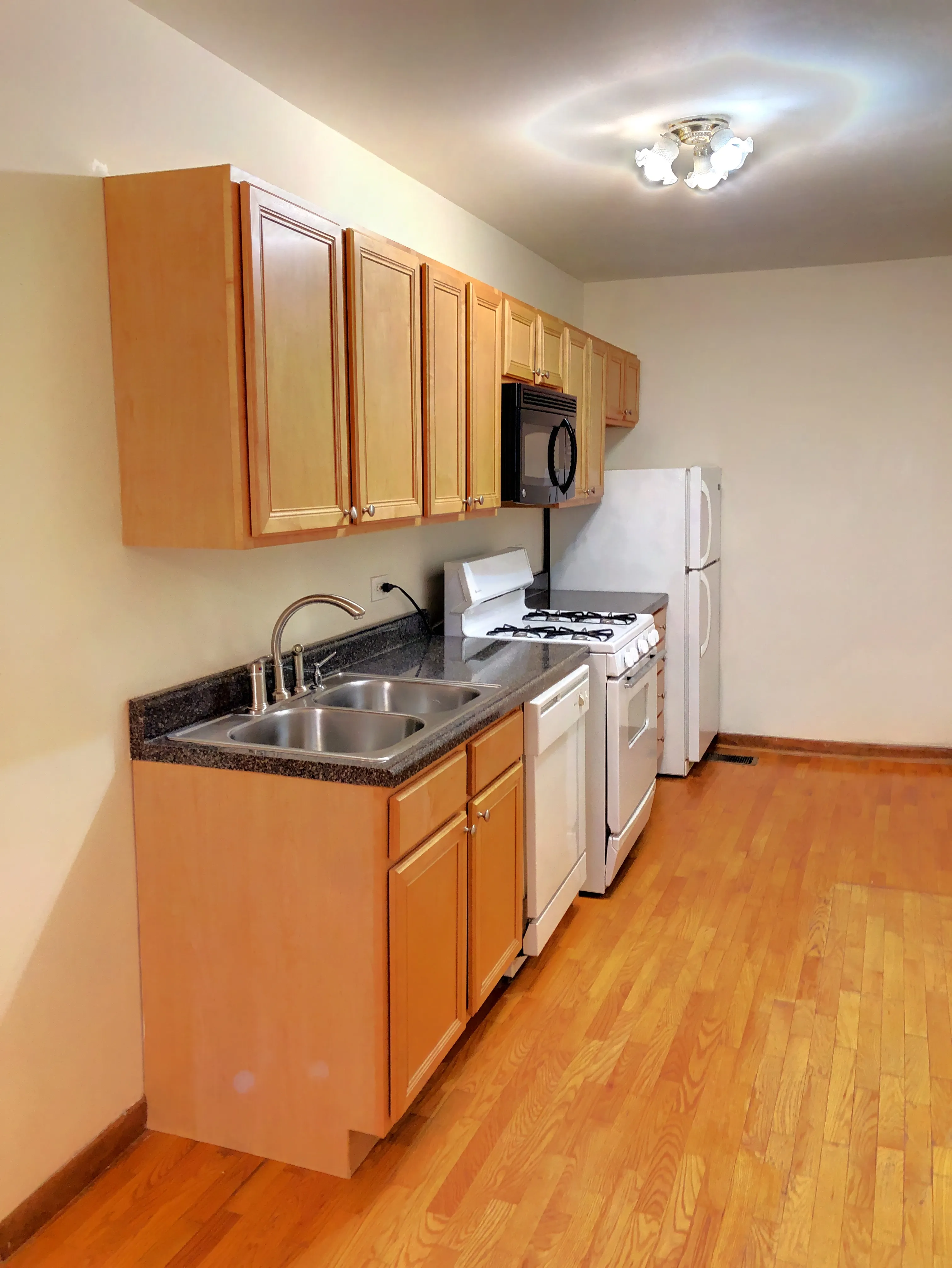 1741 W Potomac Ave 60622 60622-unit#1R-Chicago-IL