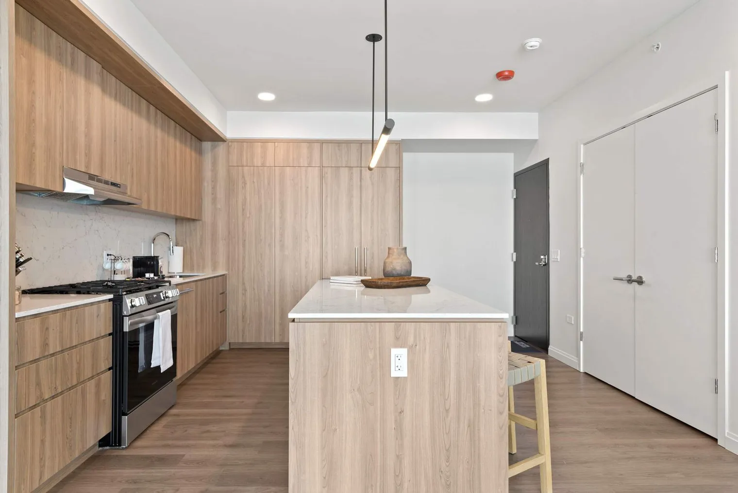 1000 S Michigan Ave   60605 60605-Building South Michigan Avenue-unit#ID1268609P-Chicago-IL