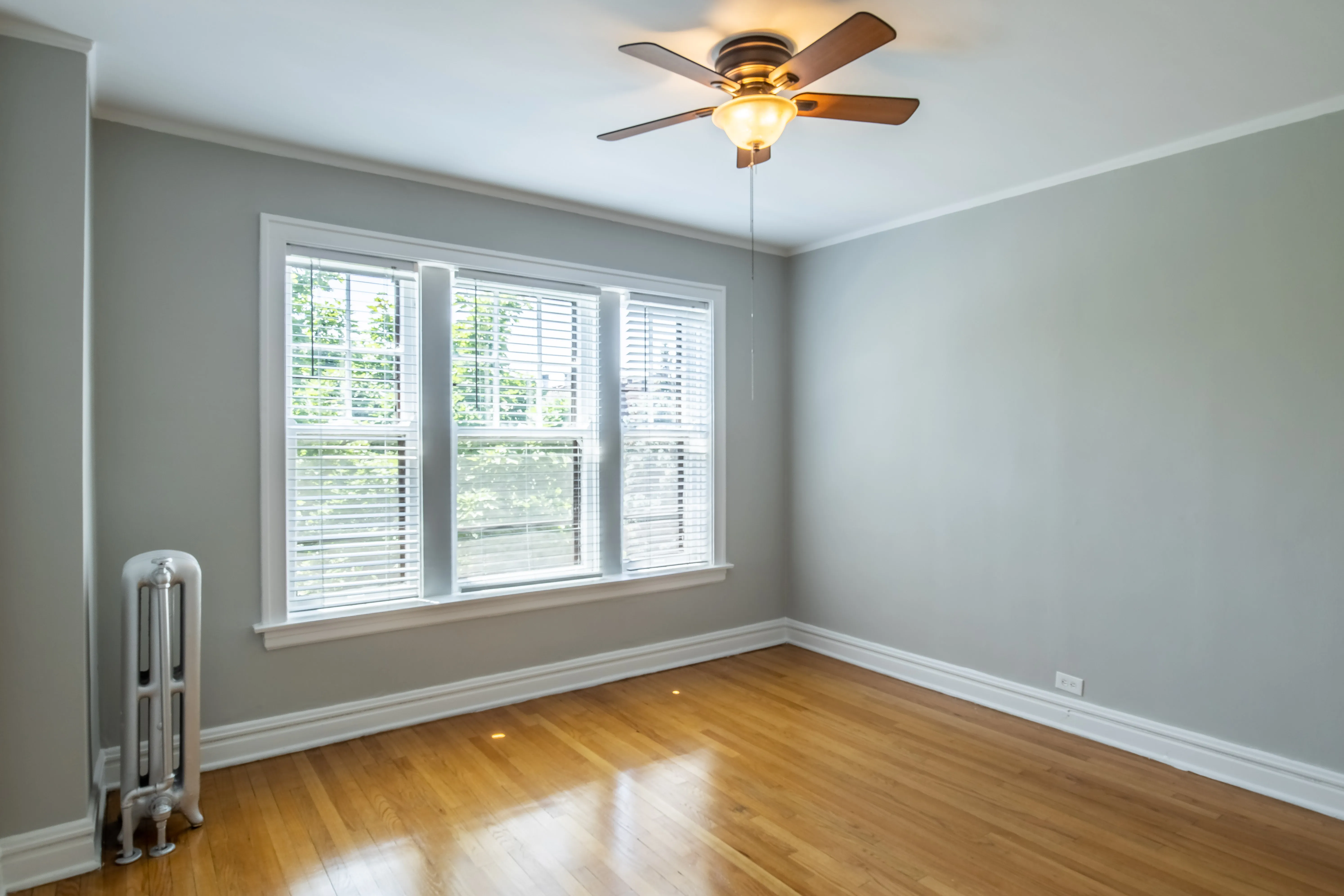 1605 W. Thome Apt-2, ,  60660 60660-Patio Apartments-unit#2-Chicago-IL