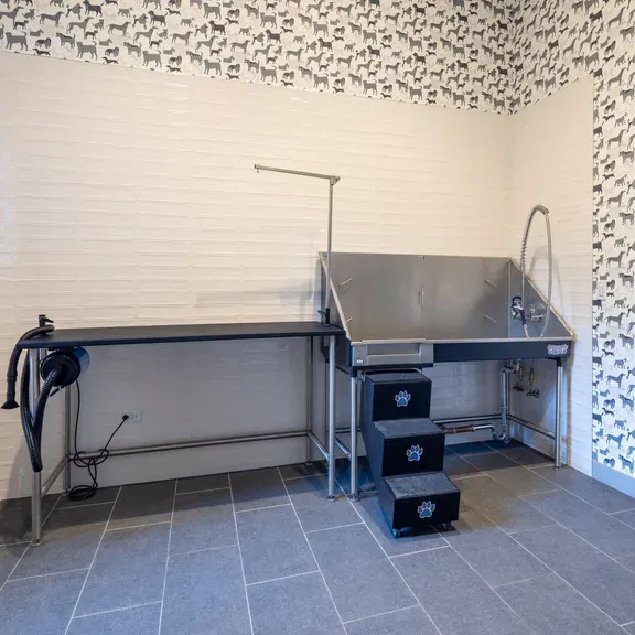 920 N Wells St   60610 60610-920 North Wells-unit#1006-Chicago-IL