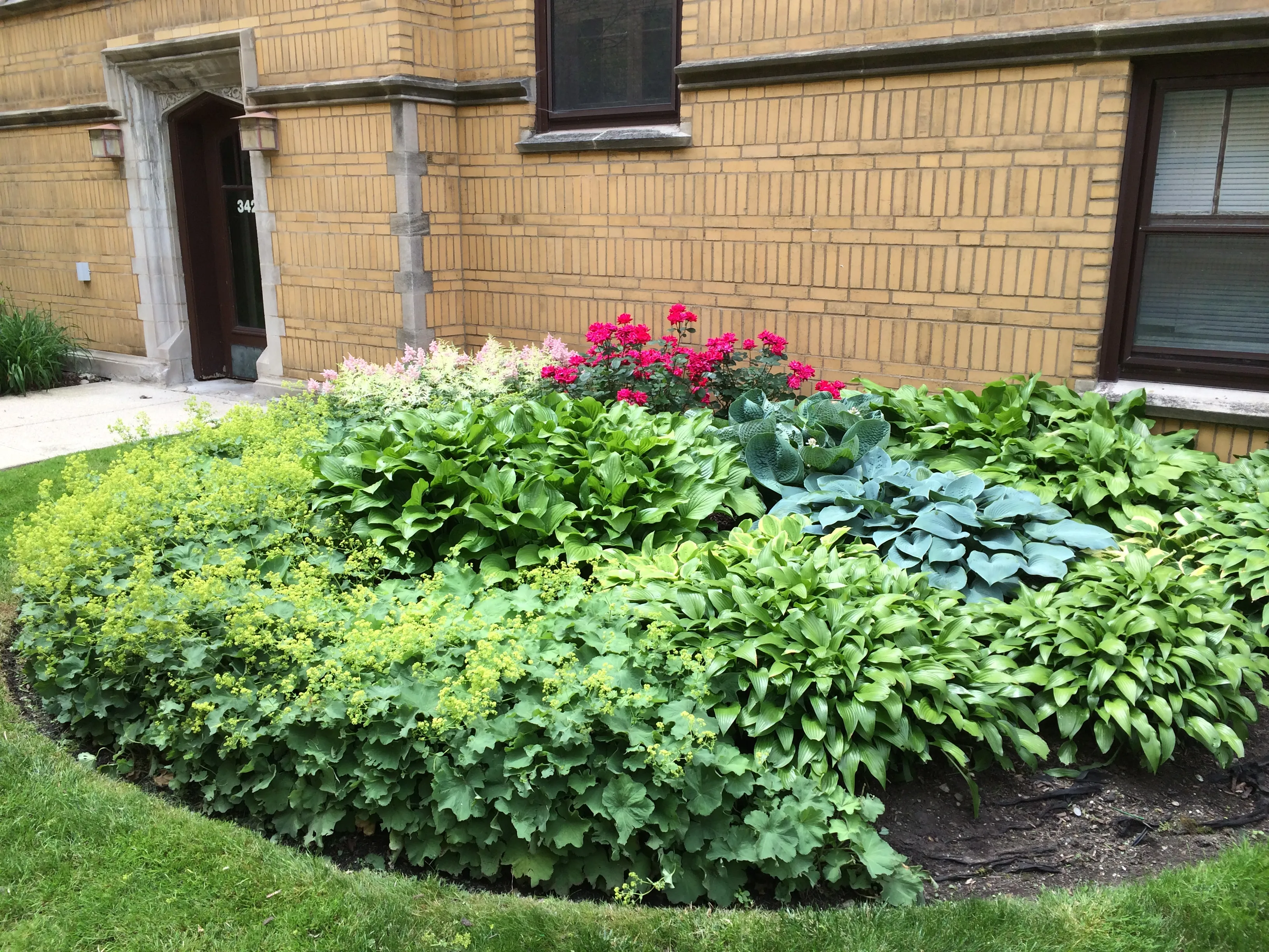 3423 W Drummond Pl 60647 60647-unit#1B-Chicago-IL