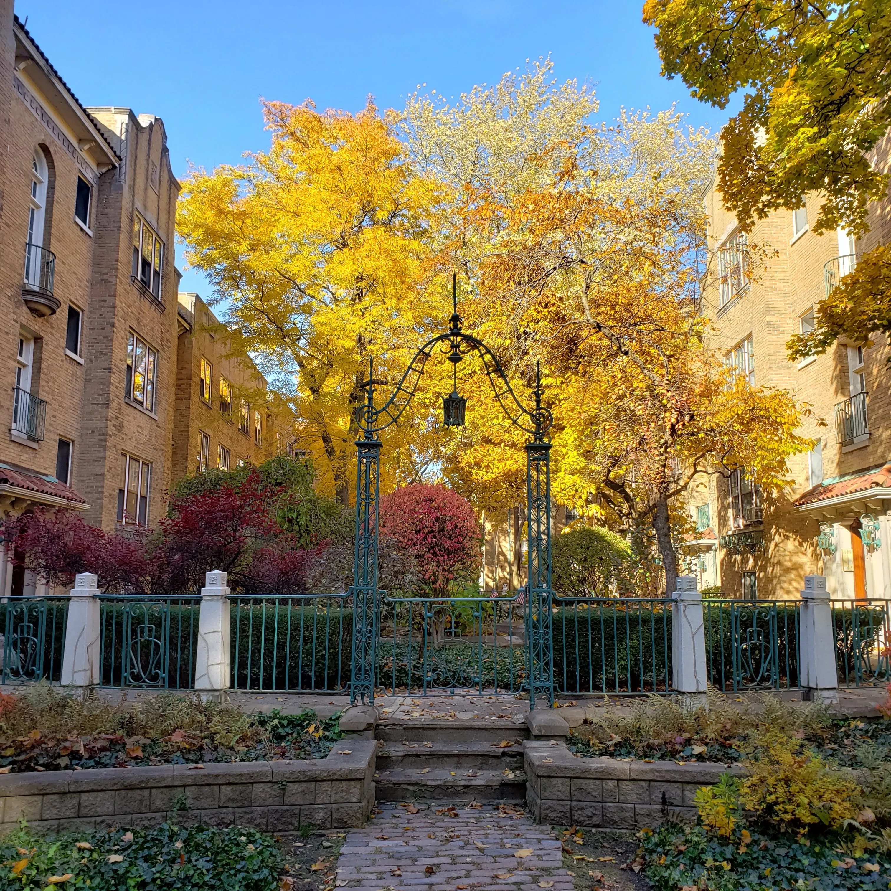 1601 W Thome Ave 60660 60660-Patio Apartments-unit#2E-Chicago-IL