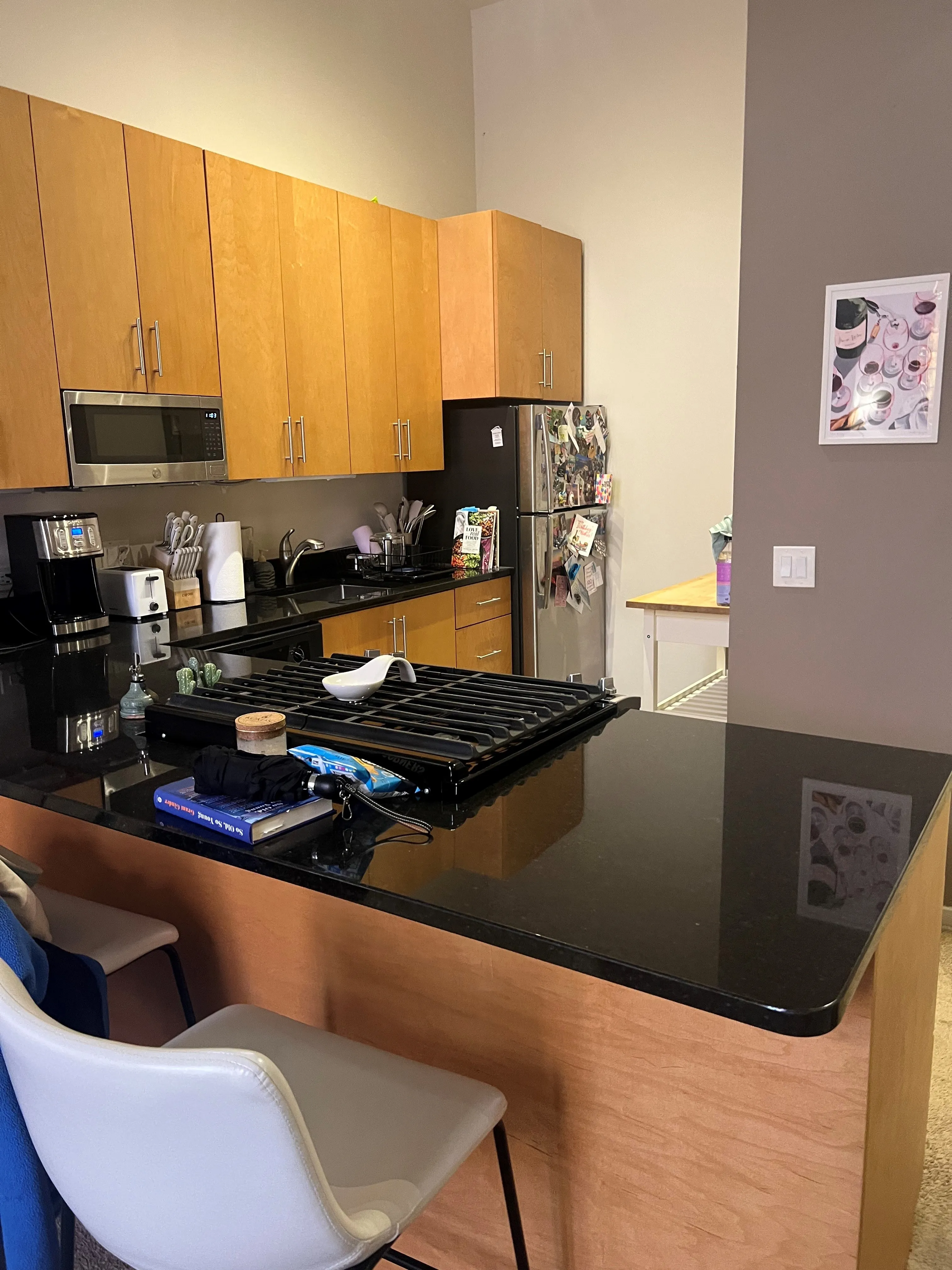701 W Buckingham Pl 60657 60657-Buckingham Pews-unit#203-Chicago-IL