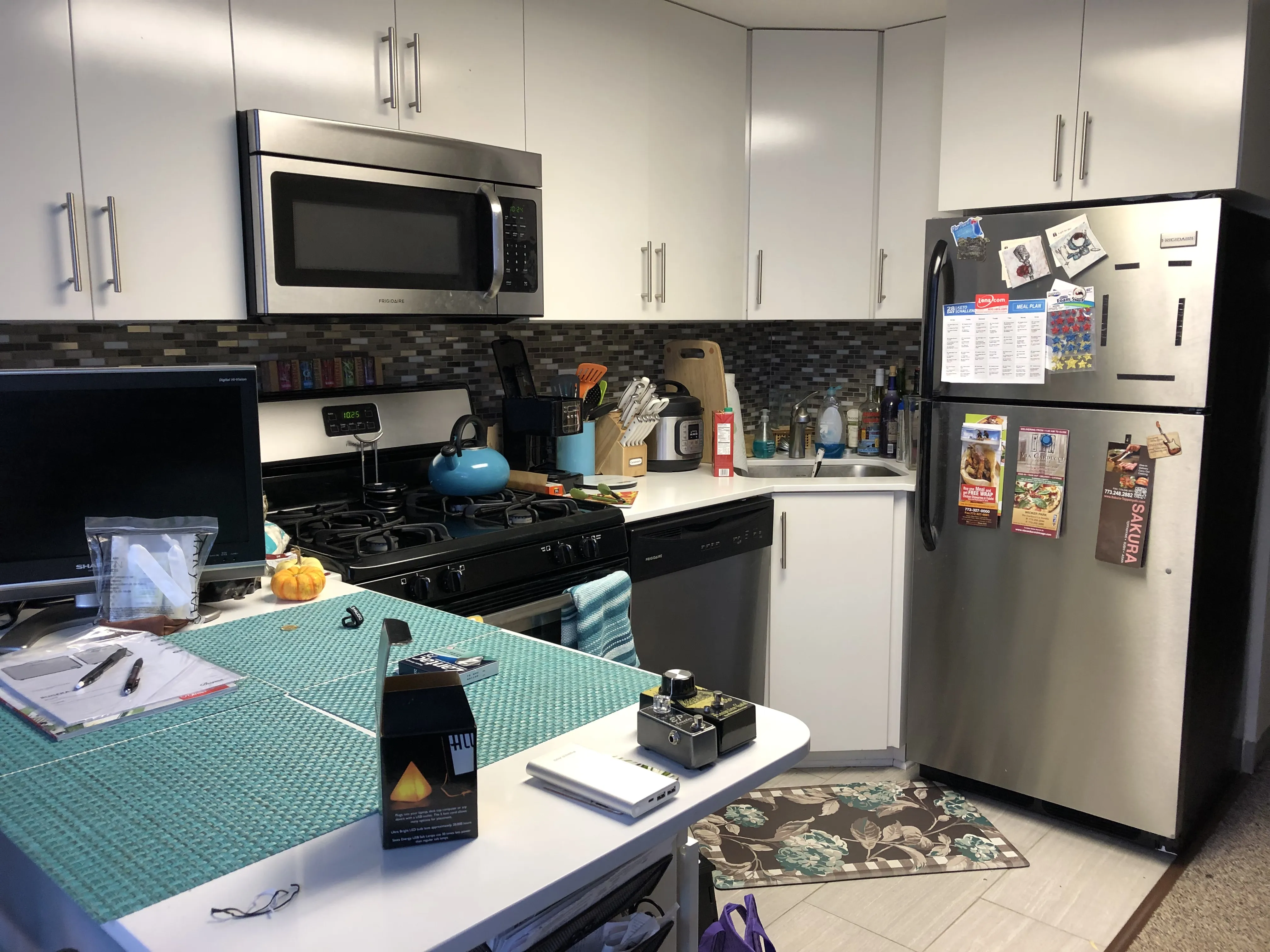 999 W Wolfram St   60657 60657-Sheffield Lofts-unit#307-Chicago-IL