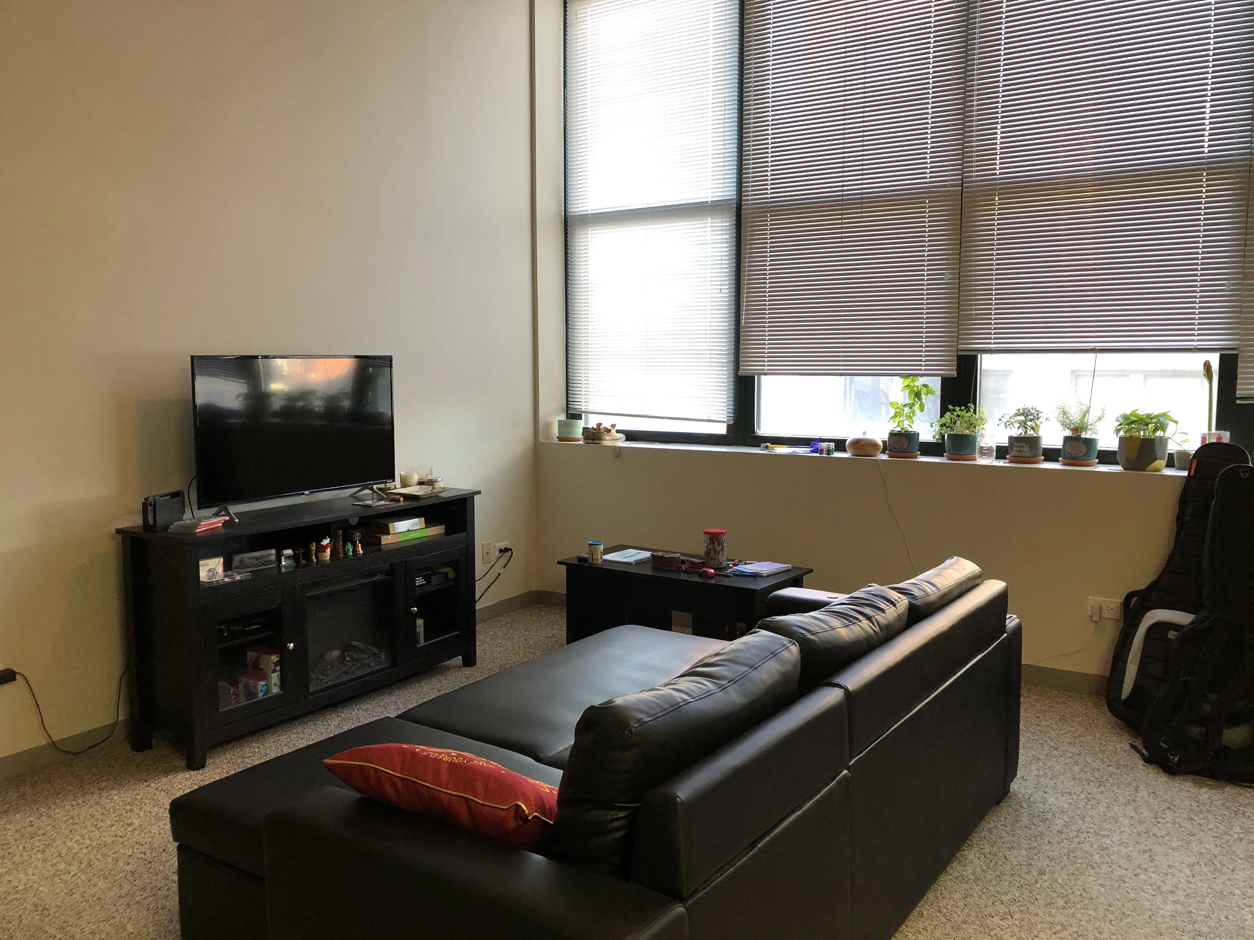 999 W Wolfram St   60657 60657-Sheffield Lofts-unit#307-Chicago-IL