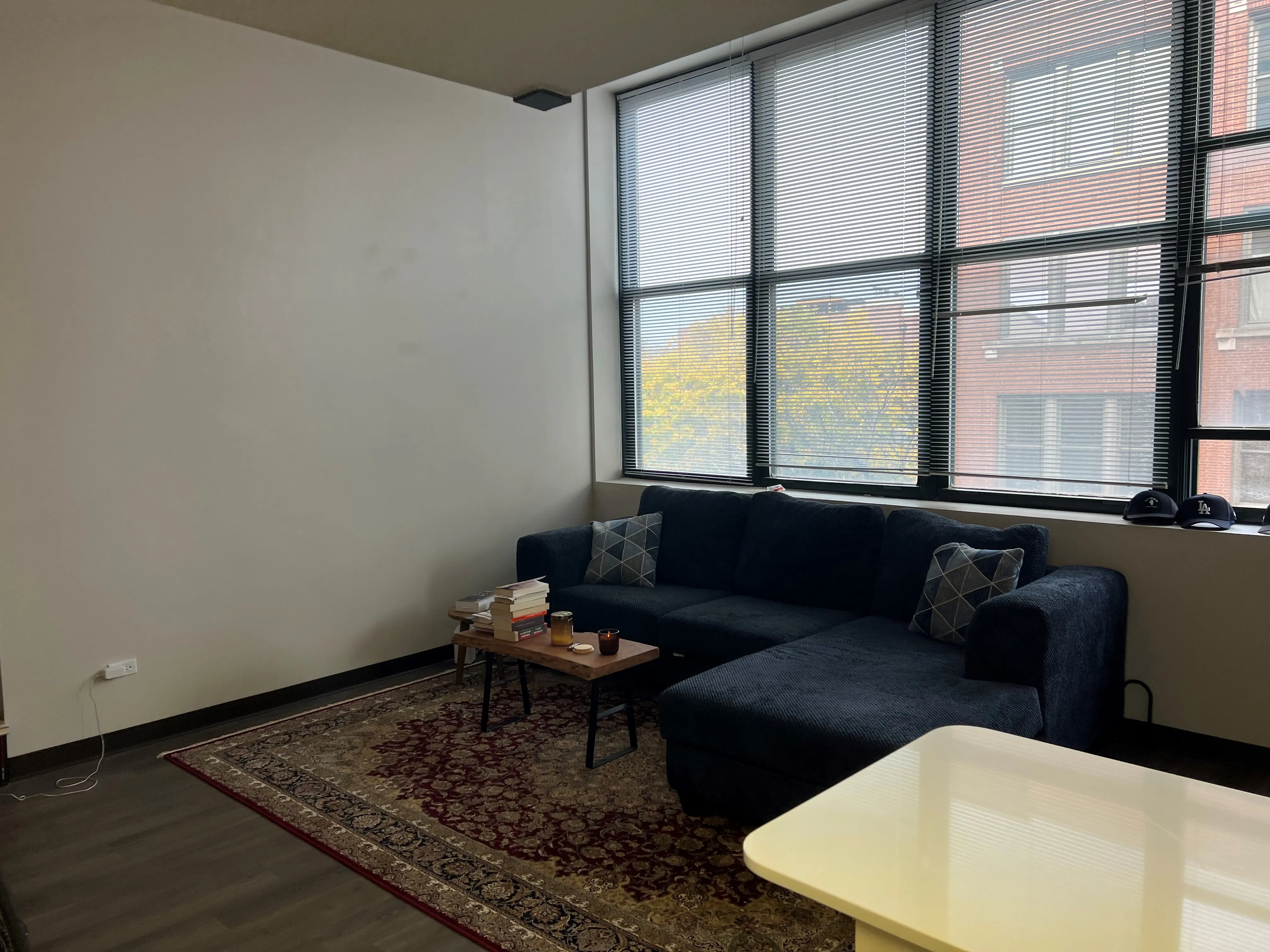 999 W Wolfram St 60657 60657-Sheffield Lofts-unit#307-Chicago-IL