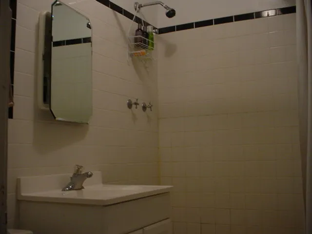3417 W Drummond Pl   60647 60647-unit#B-Chicago-IL