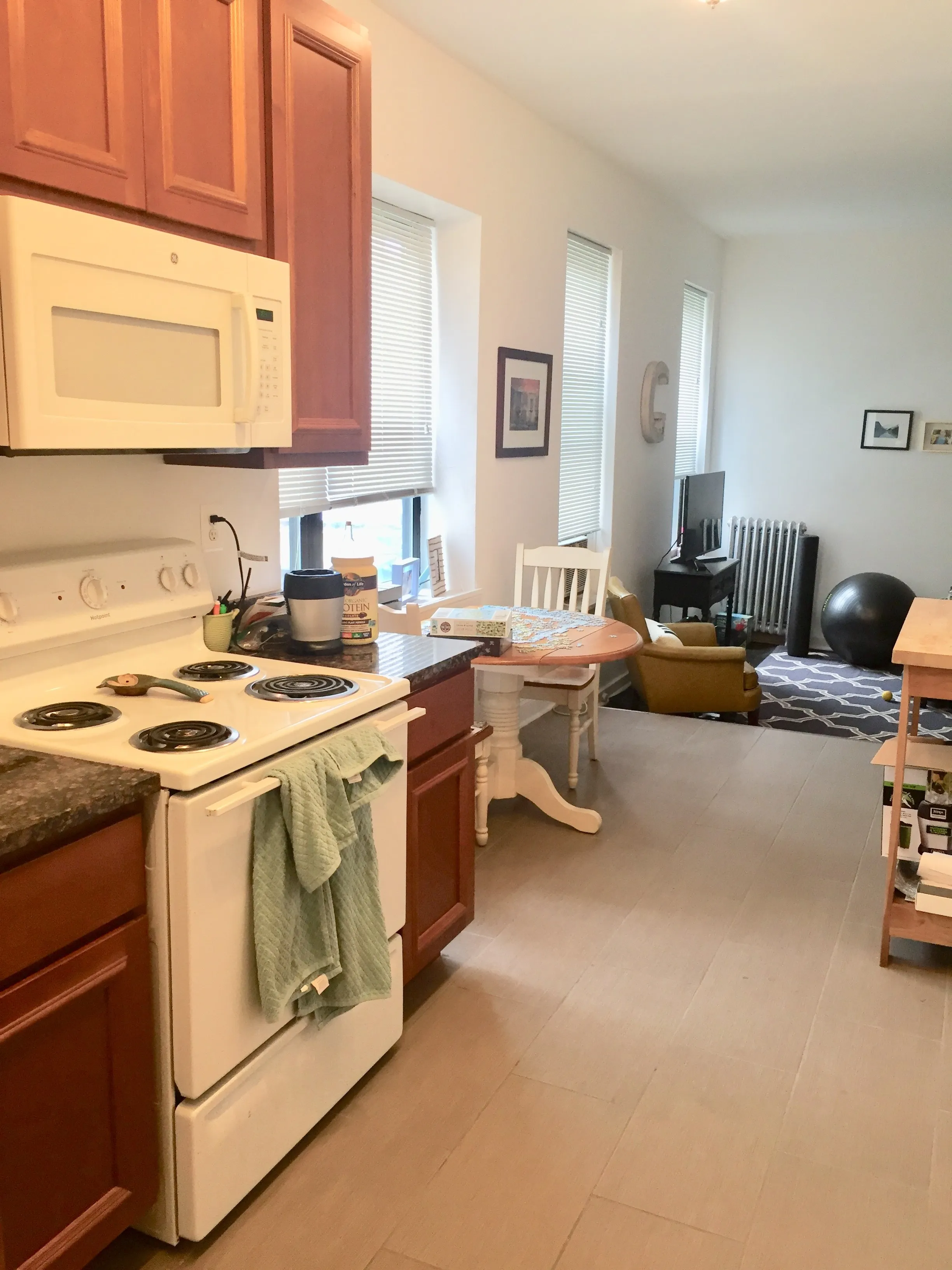 1353 N State Pkwy 60610 60610-State Pkwy Apts-unit#4A-Chicago-IL