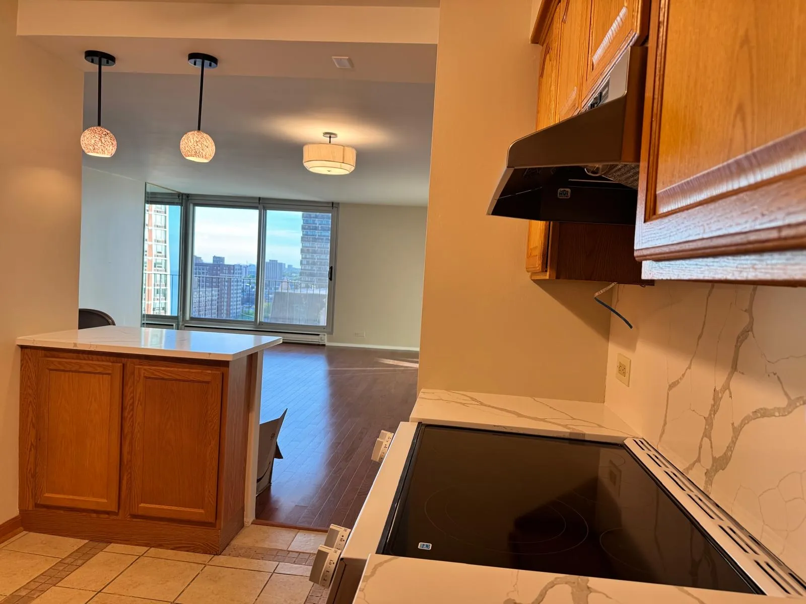 6033 N Sheridan Rd   60660 60660-unit#19k-Chicago-IL