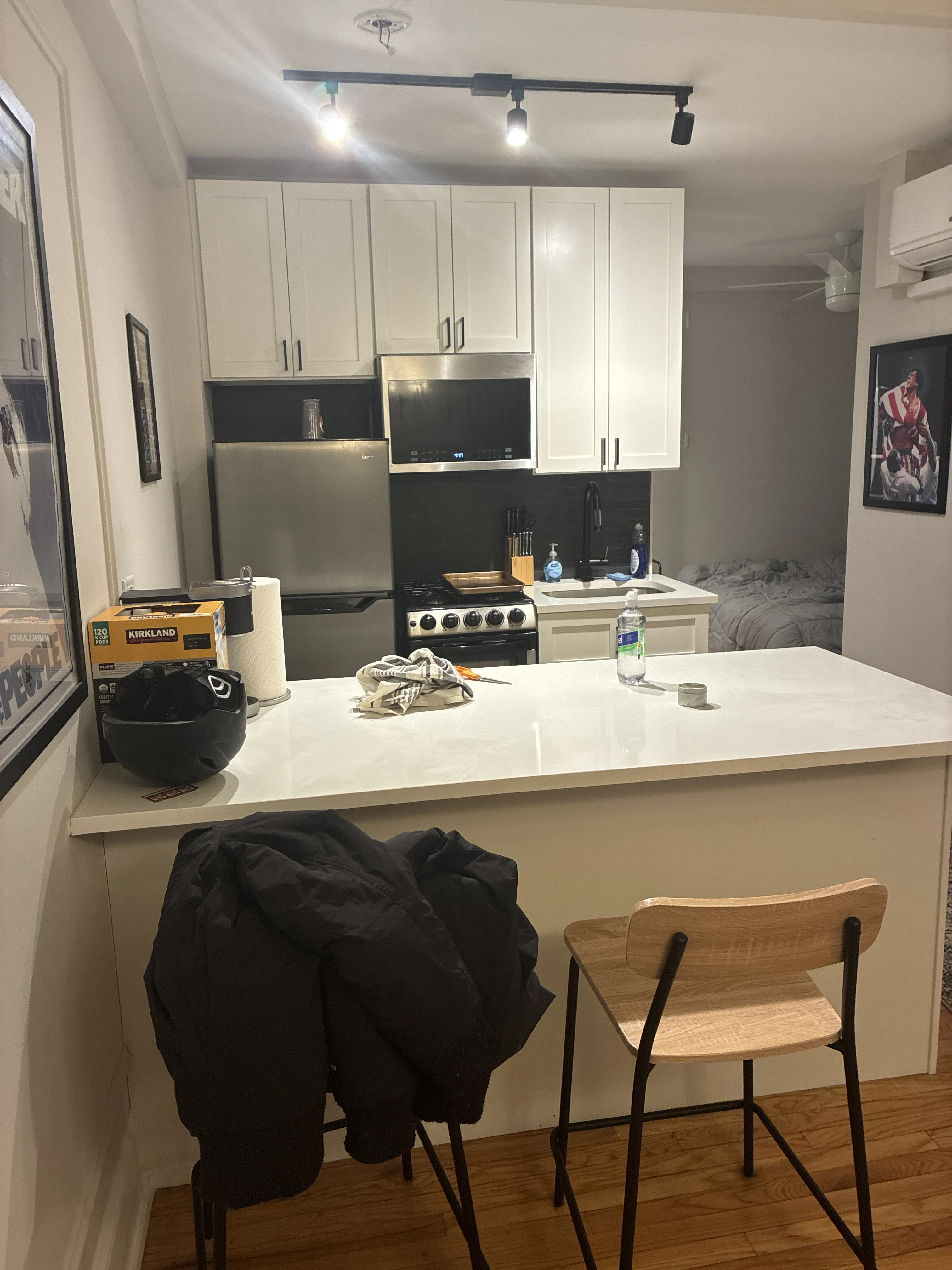 2740 N Hampden Ct 60614 60614-The Audley -Chicago-IL