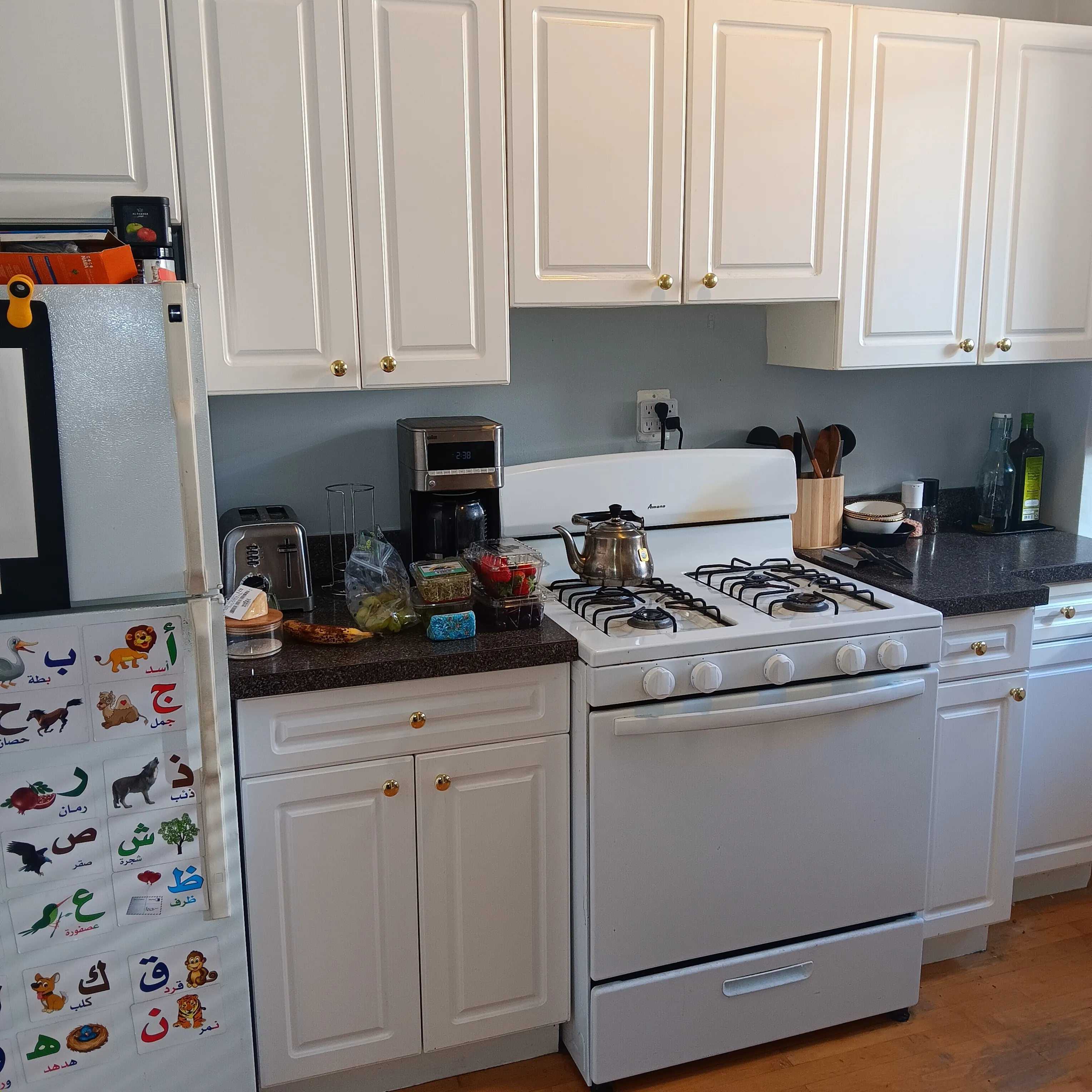 805 Judson Ave   60202 60202-Judson Kedzie-unit#3-Evanston-IL