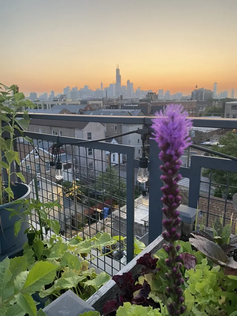 1640 W 18th St   60608 60608-unit#4-Chicago-IL