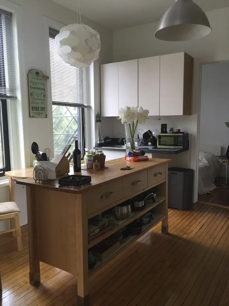1459 N BOSWORTH AVE 60642-unit#2-F-Chicago-IL