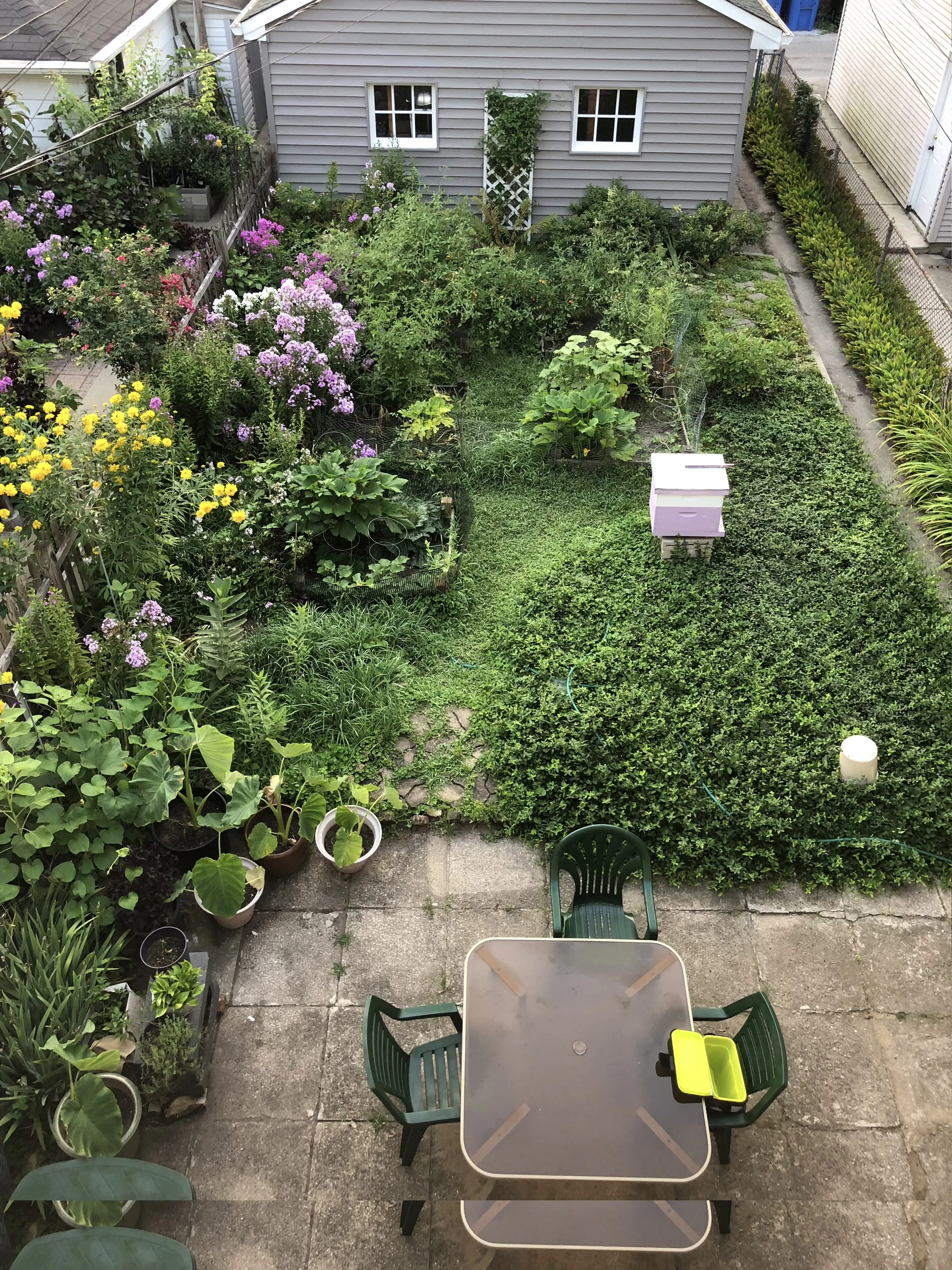 3503 N Hoyne Ave   60618 60618-unit#1-Chicago-IL
