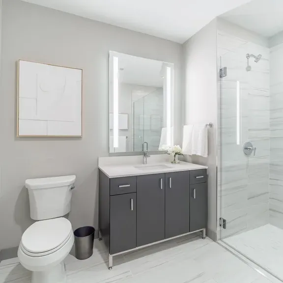 920 N Wells St   60610 60610-920 North Wells-unit#1006-Chicago-IL