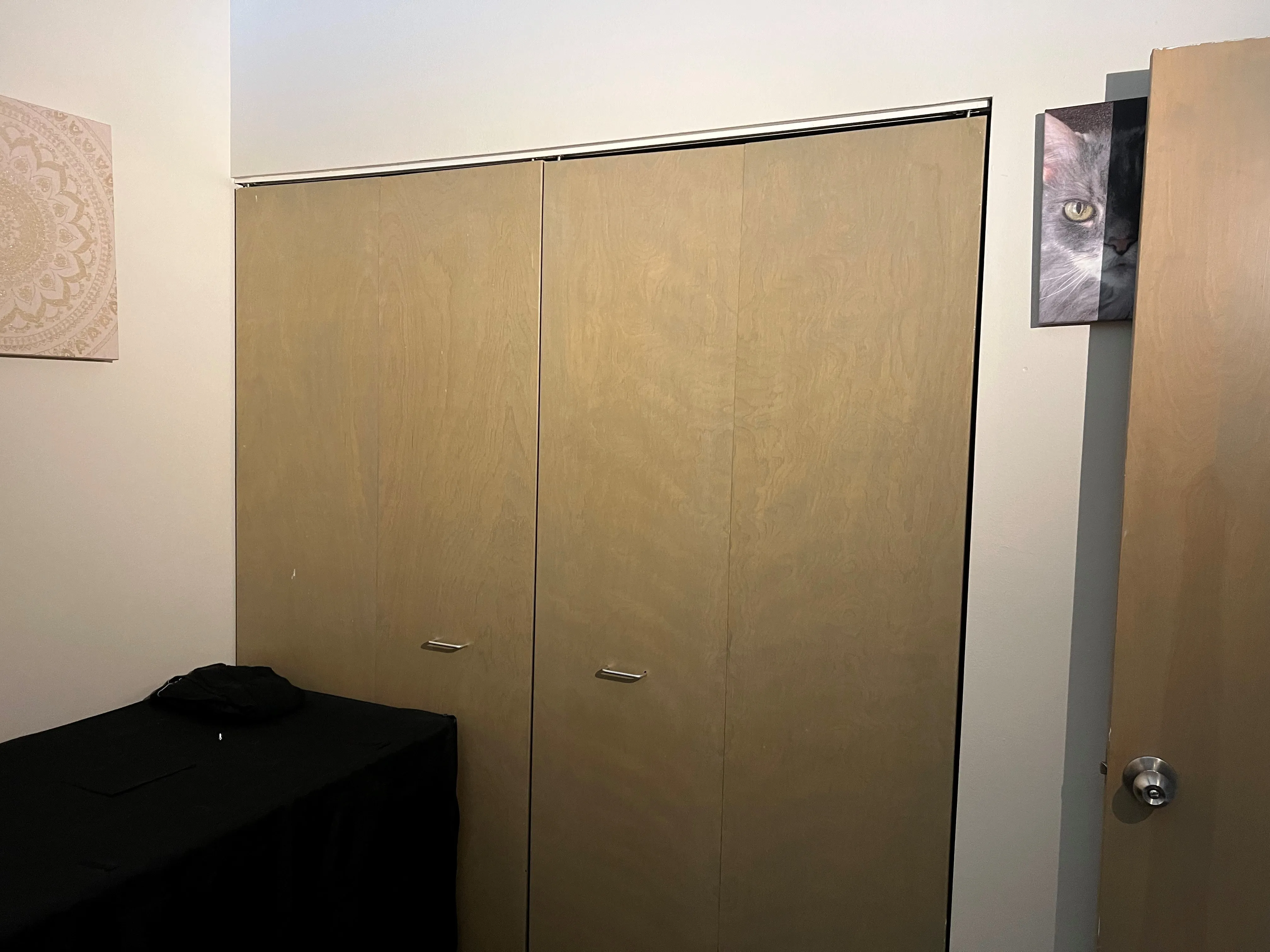 999 W Wolfram St 60657 60657-Sheffield Lofts-unit#508-Chicago-IL