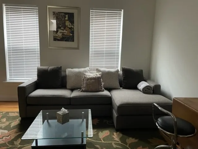1345 N Wells St   60610 60610-unit#301-Chicago-IL