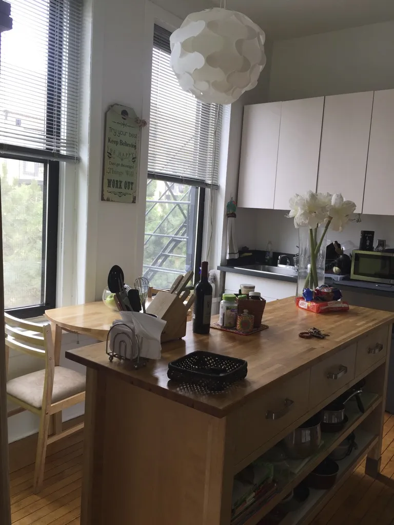 1459 N BOSWORTH AVE 60642-unit#2-F-Chicago-IL