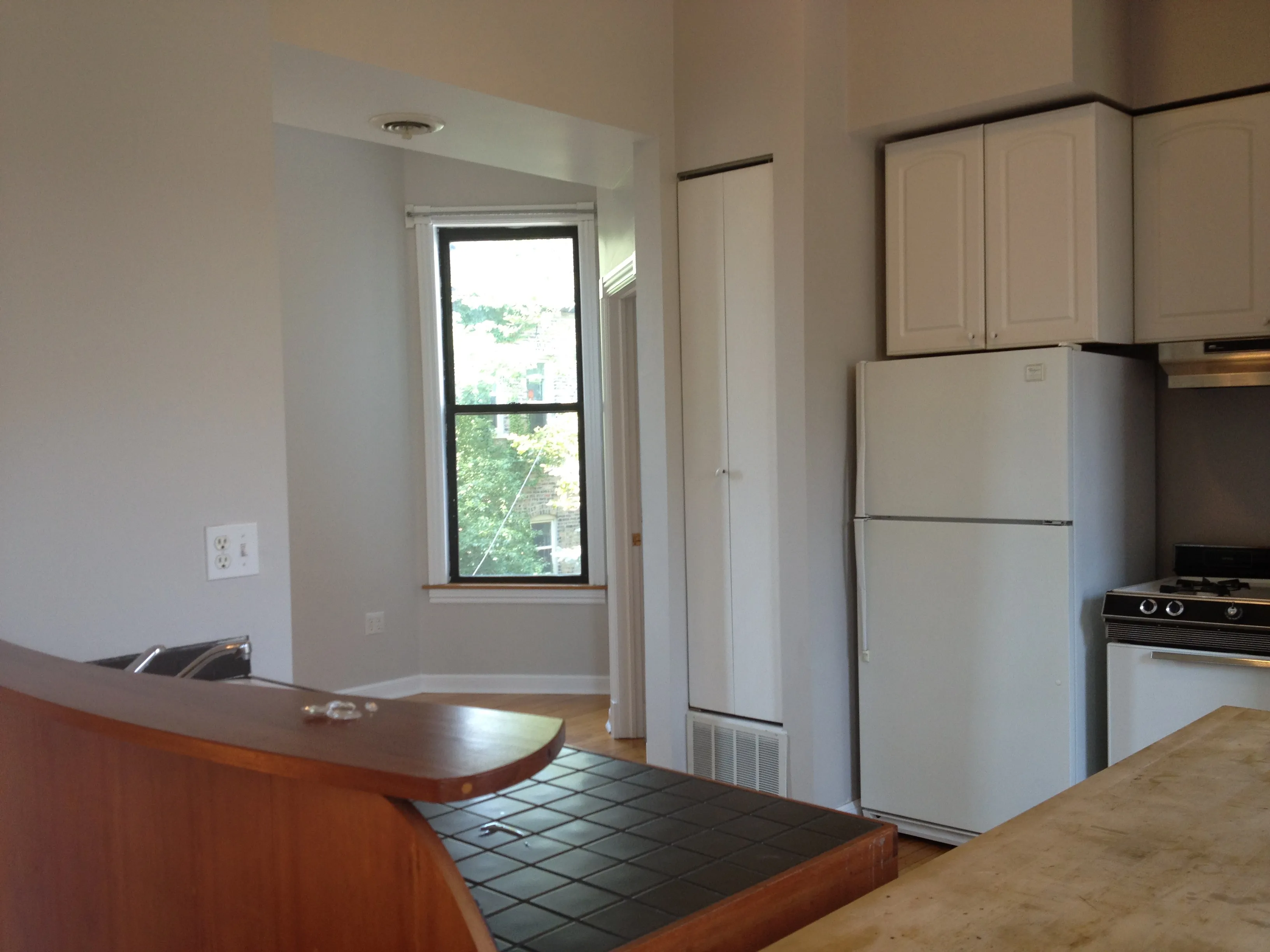 1459 N Bosworth Ave   60642 60642-unit#2R-Chicago-IL