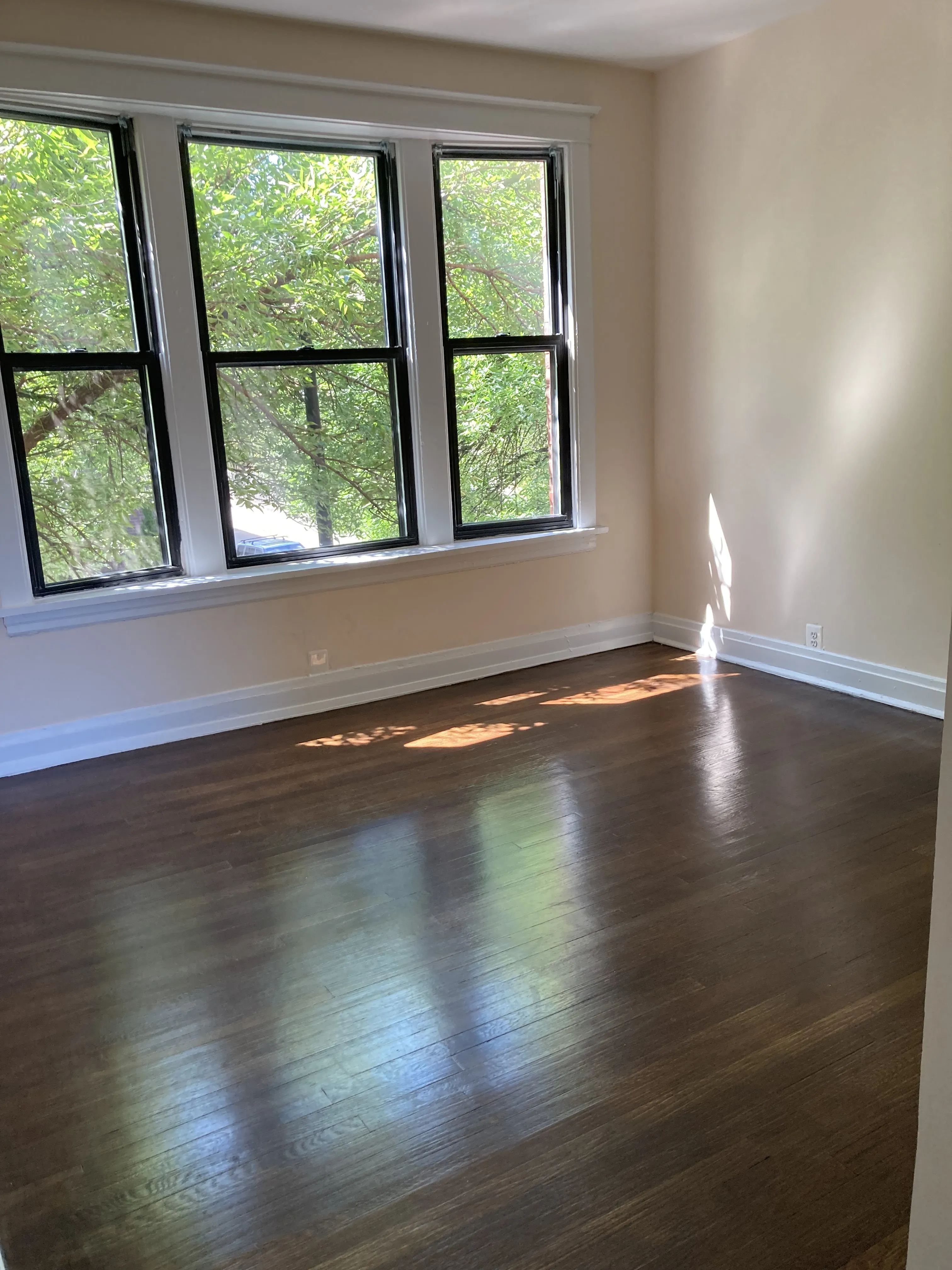 5343 N Damen Ave 60625 60625-unit#3-Chicago-IL