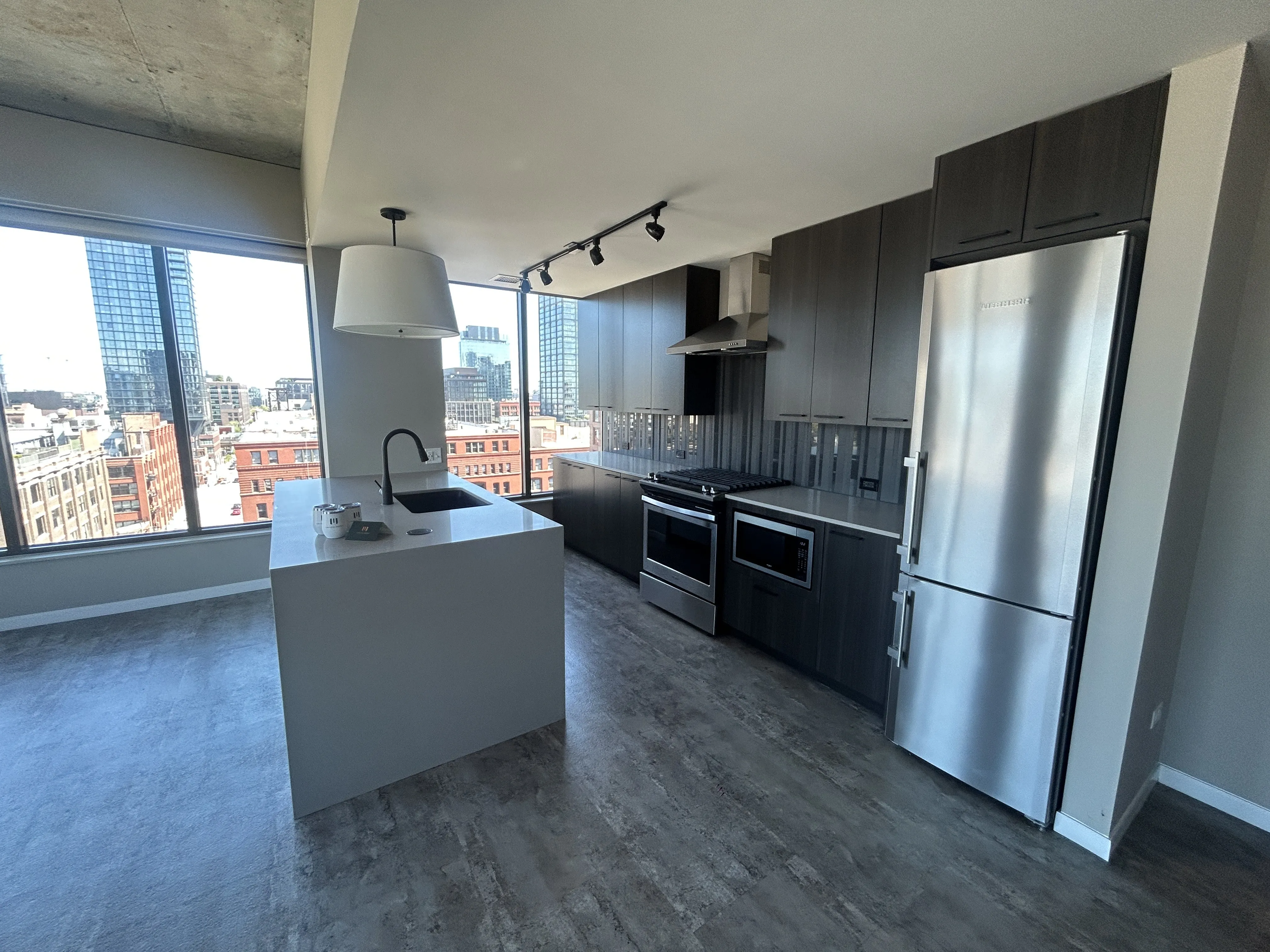 933 W Washington Blvd 60606 60606-unit#1319-Chicago-IL