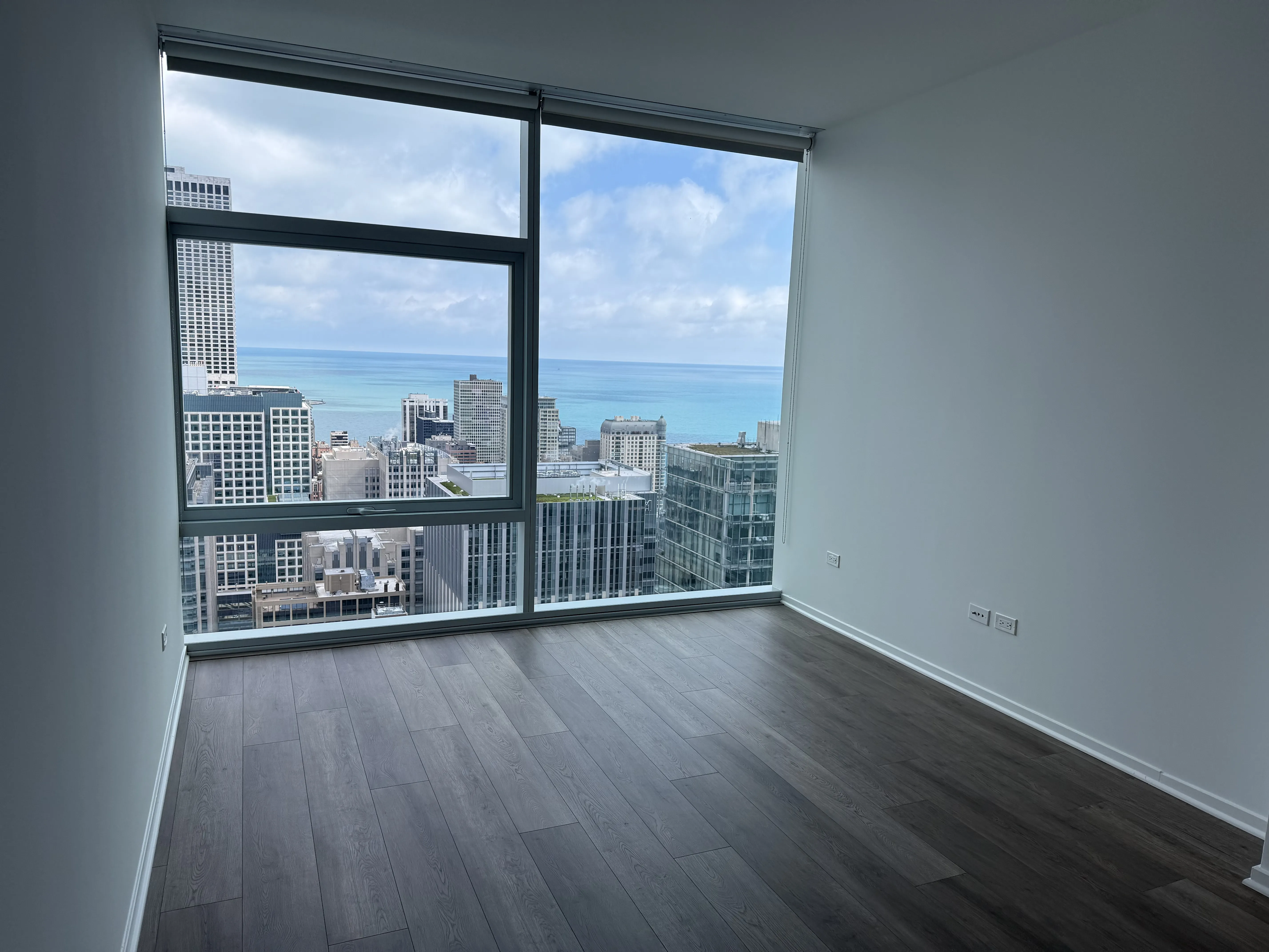 220 E Illinois St 60611 60611-unit#4602-Chicago-IL