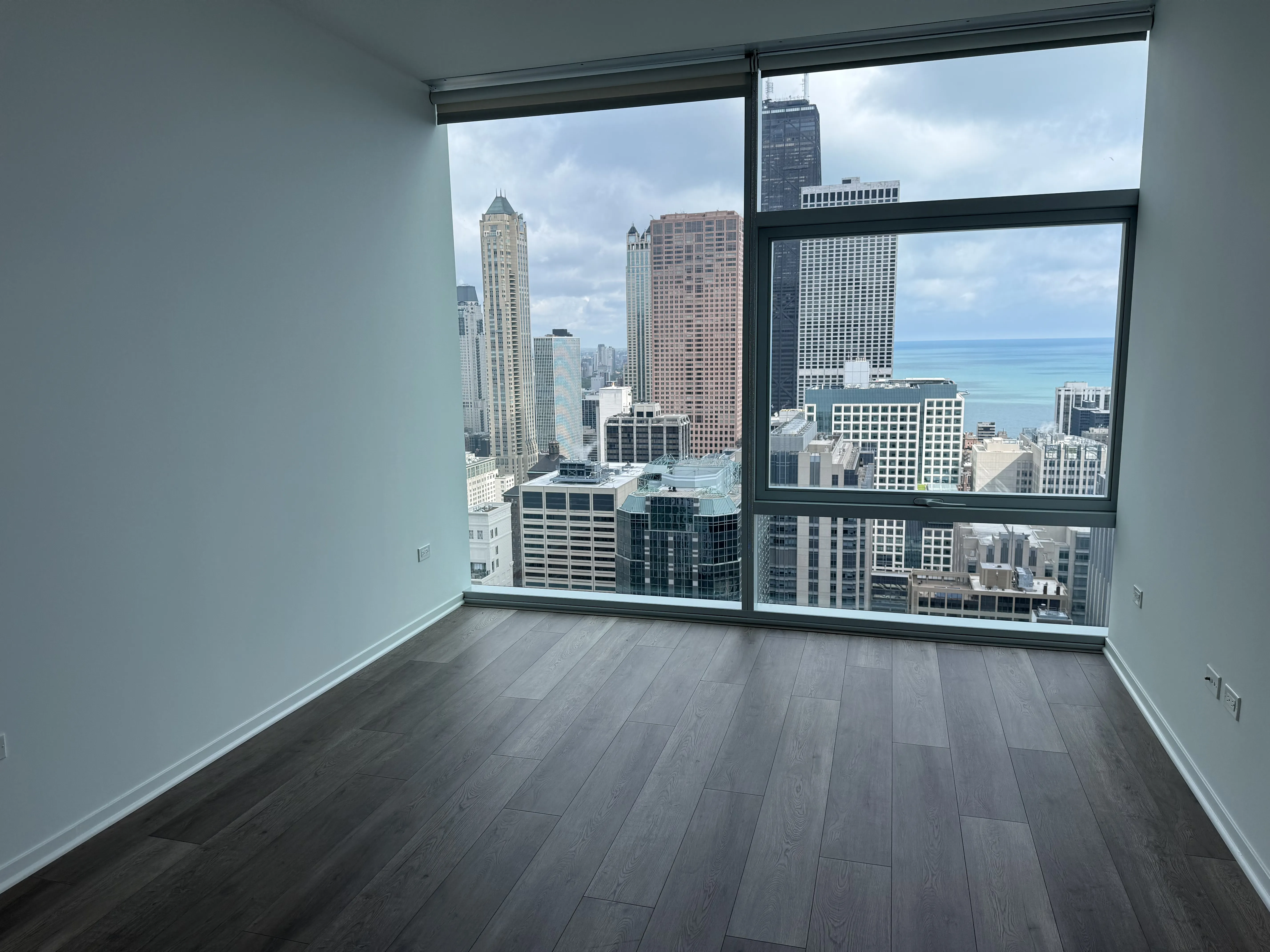 220 E Illinois St 60611 60611-unit#4602-Chicago-IL
