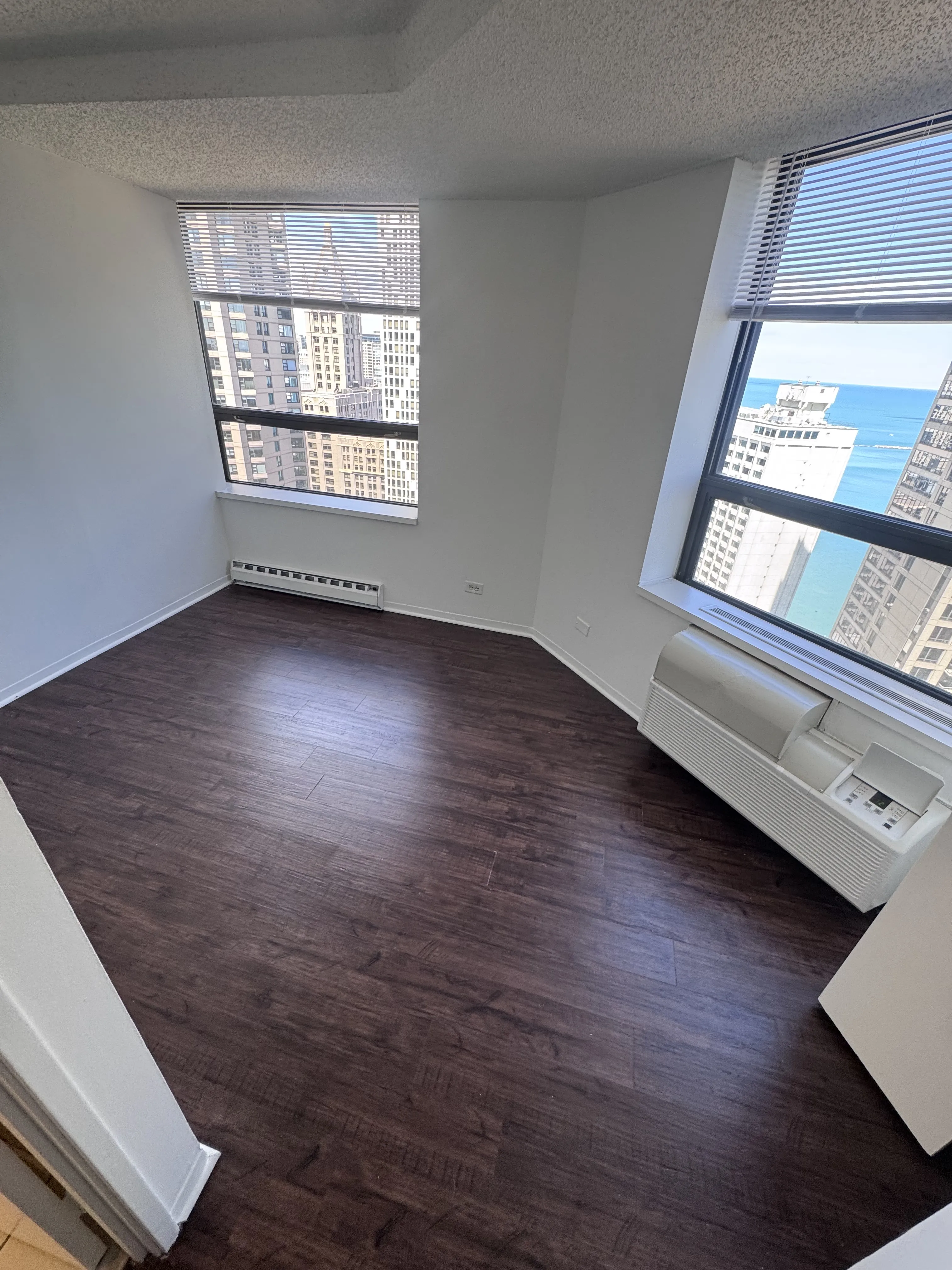 445 E Ohio St 60611 60611-unit#1218-Chicago-IL