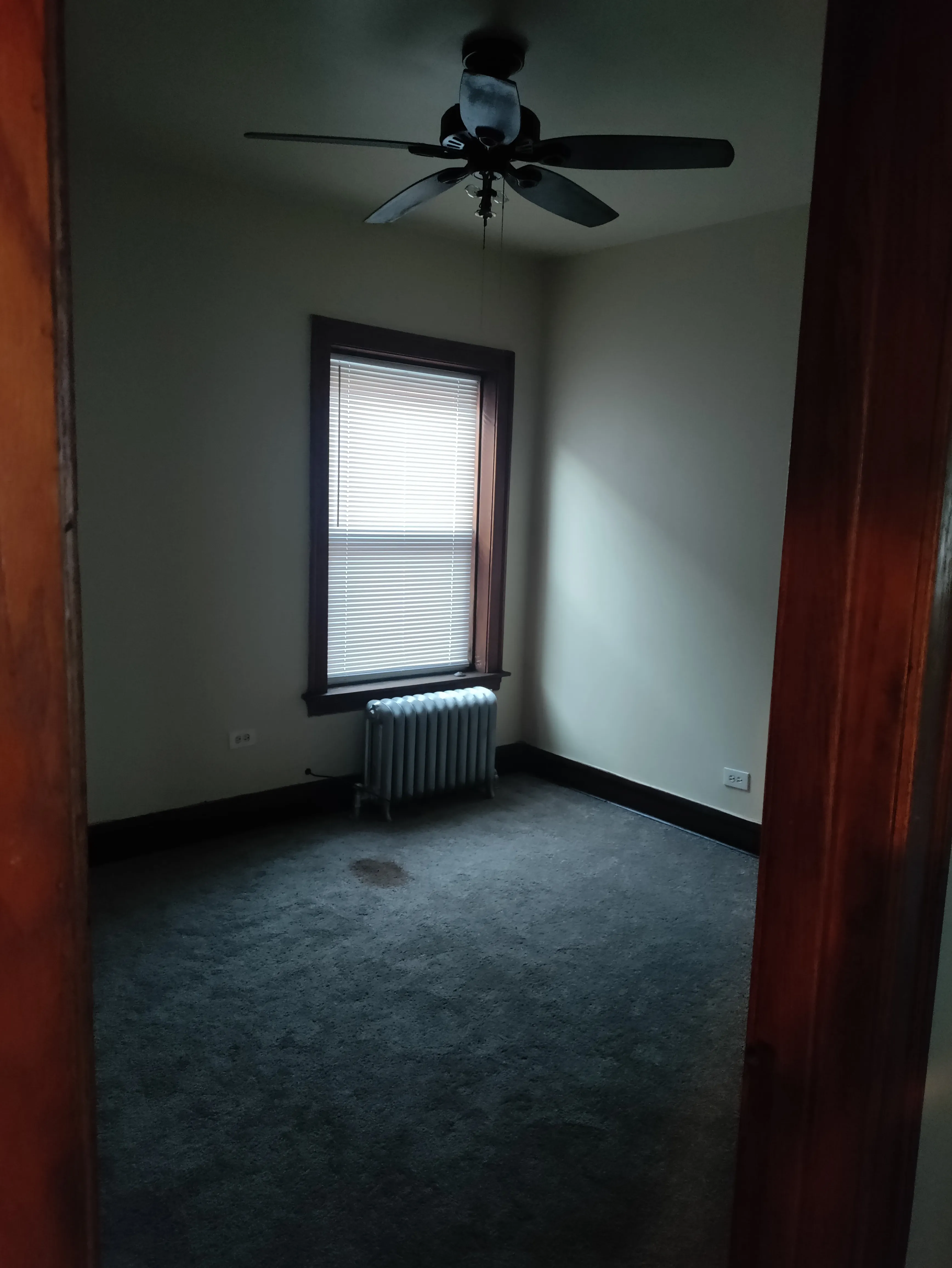 1717 W 85th St 60620 60620-unit#1-Chicago-IL