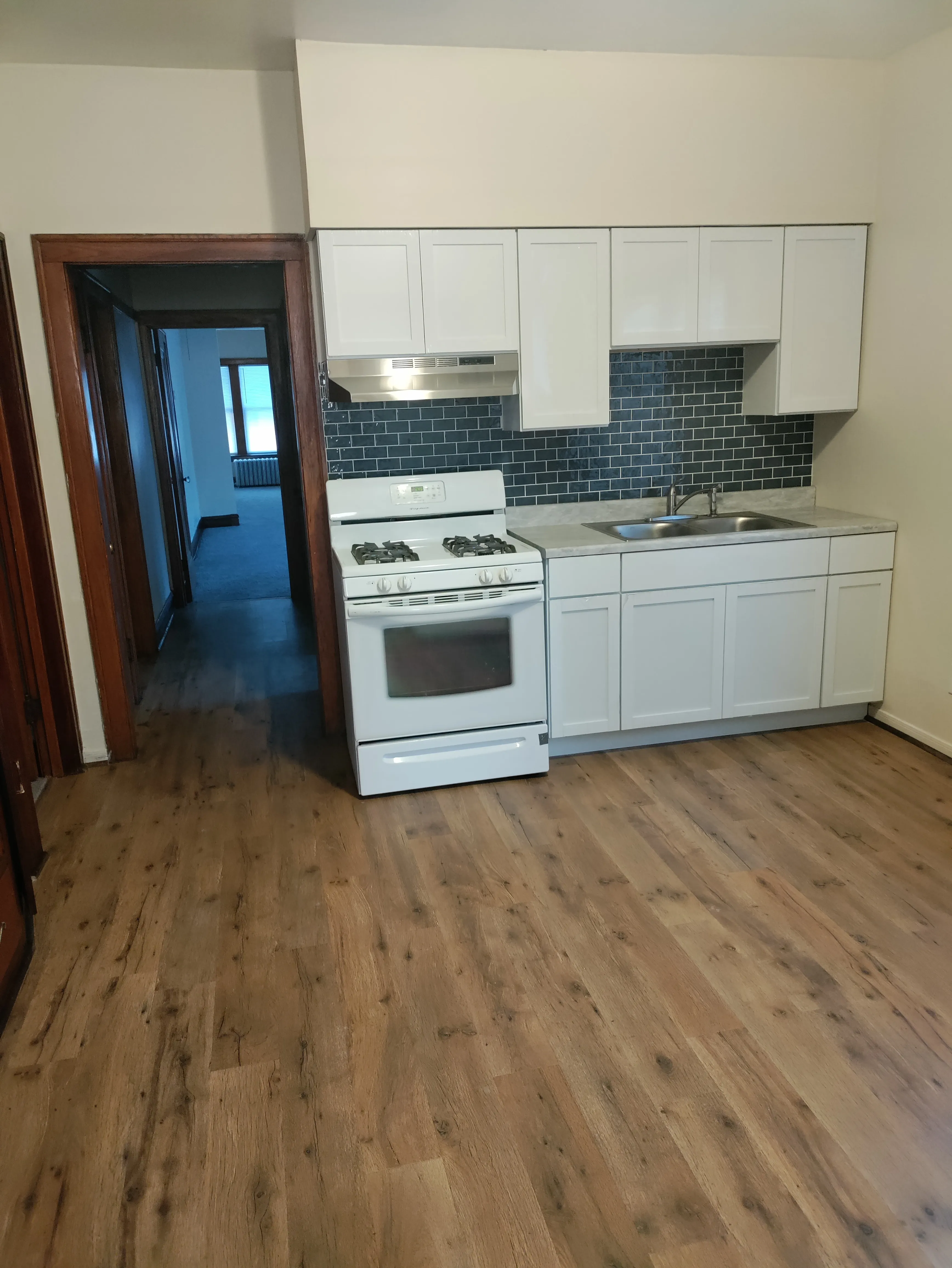 1717 W 85th St 60620 60620-unit#1-Chicago-IL