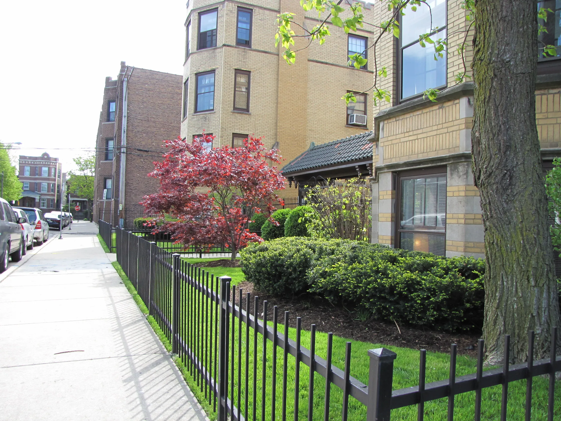 3423 W Drummond Pl 60647 60647-unit#1B-Chicago-IL